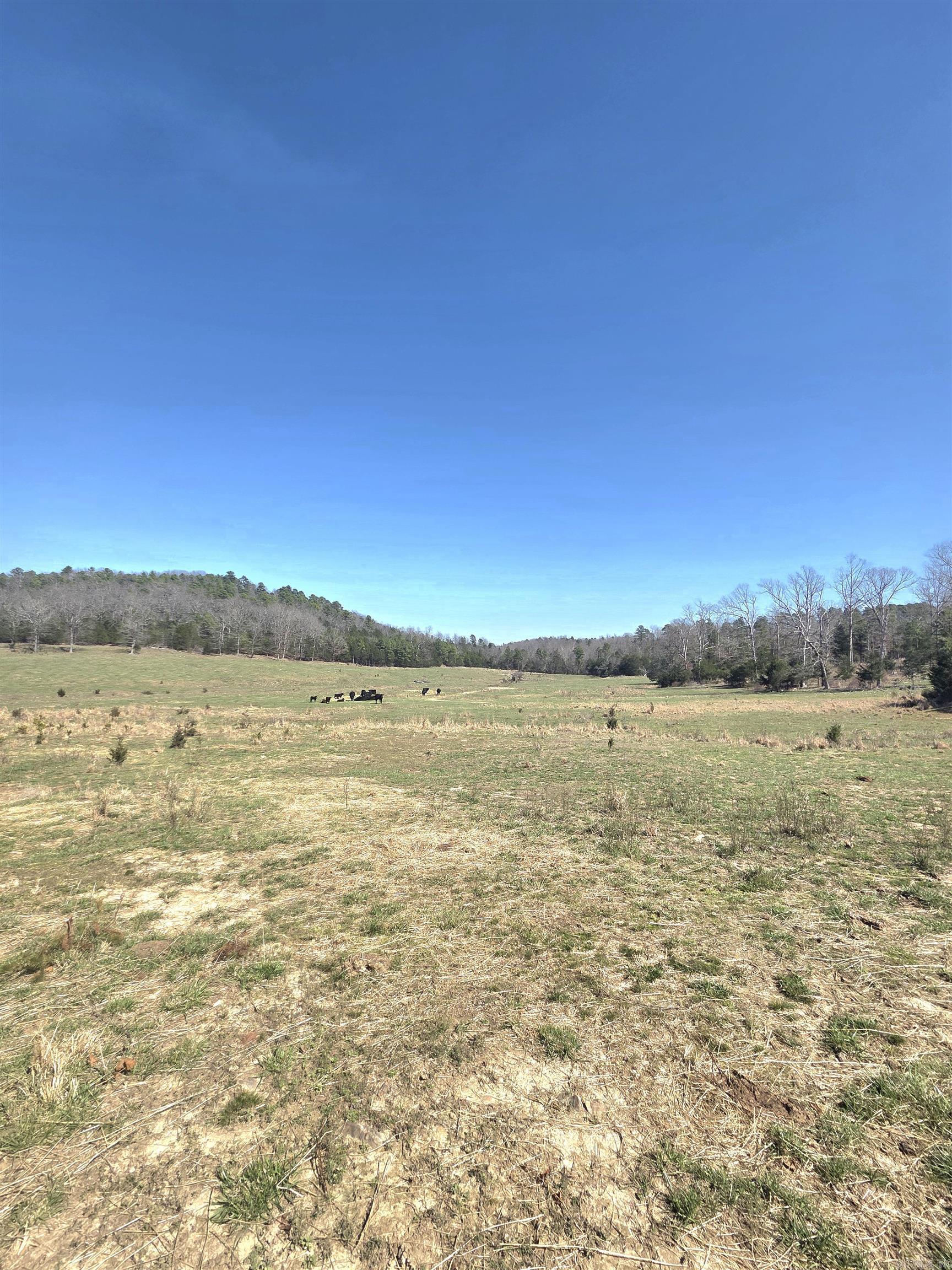 Photo 2 - Vacant Land for sale – 311  Rock Hill   Dolph, AR