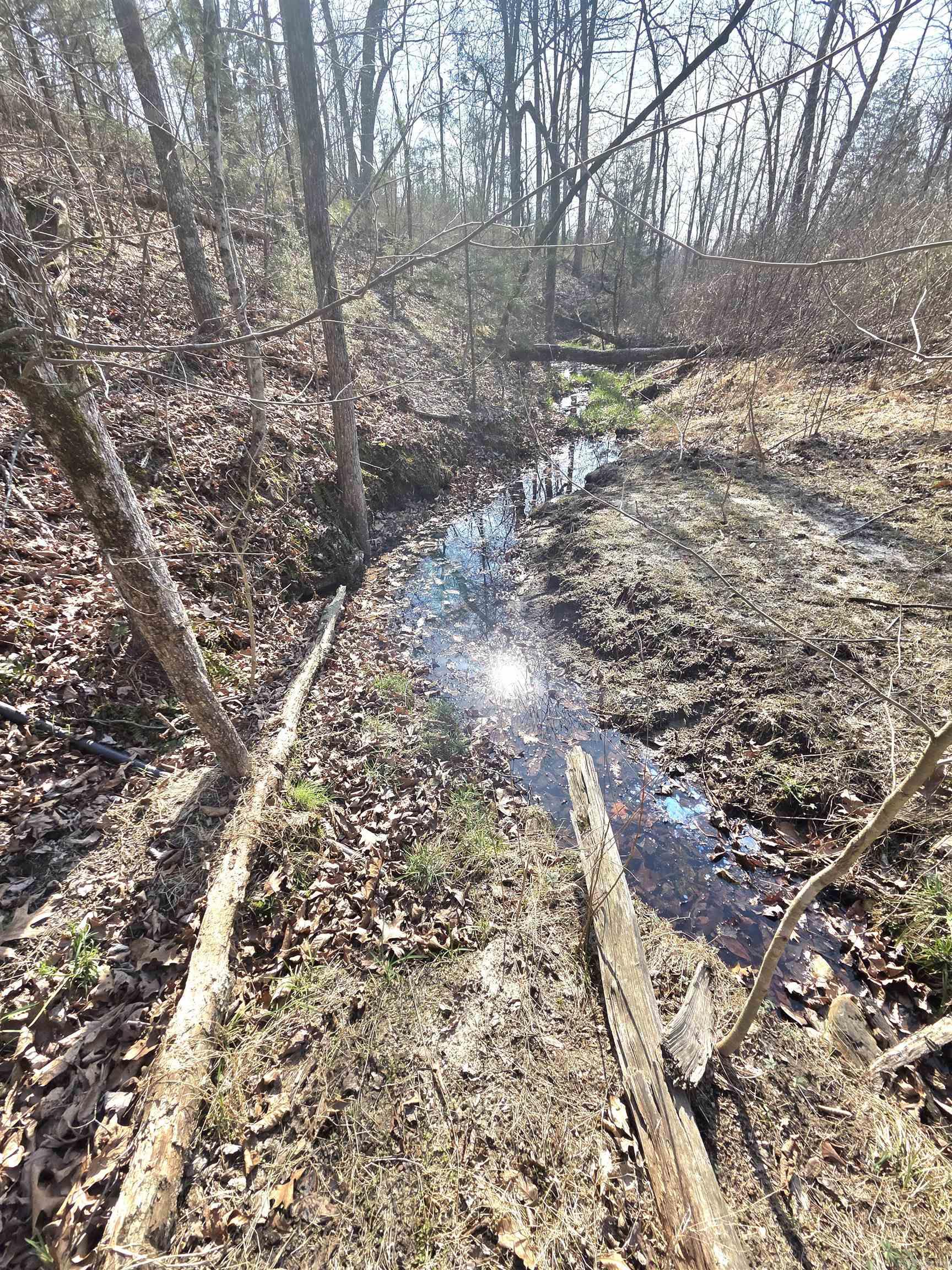 Photo 13 - Vacant Land for sale – 311  Rock Hill   Dolph, AR