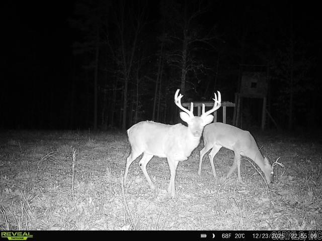 Photo 16 - Vacant Land for sale – 311  Rock Hill   Dolph, AR