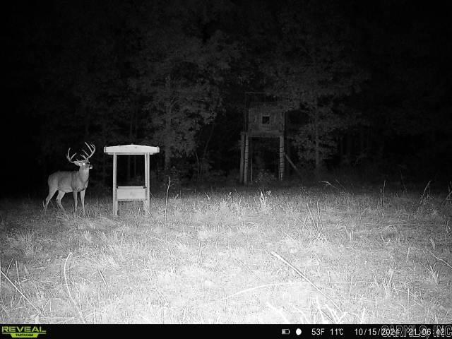 Photo 17 - Vacant Land for sale – 311  Rock Hill   Dolph, AR