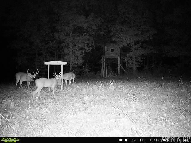 Photo 20 - Vacant Land for sale – 311  Rock Hill   Dolph, AR