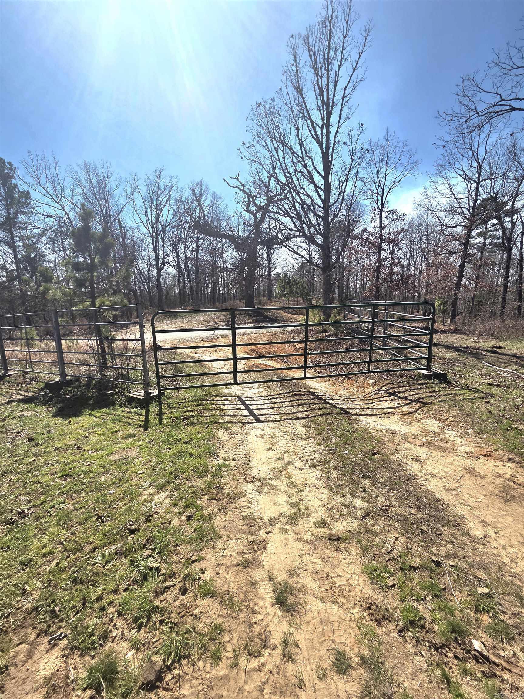 Photo 3 - Vacant Land for sale – 311  Rock Hill   Dolph, AR