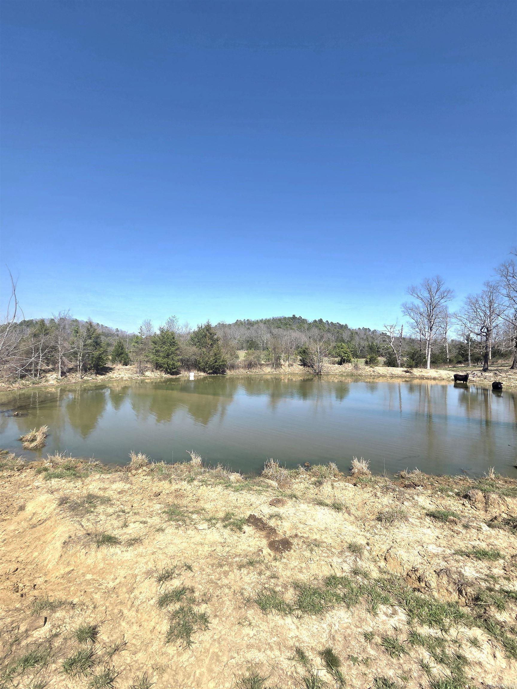 Photo 4 - Vacant Land for sale – 311  Rock Hill   Dolph, AR