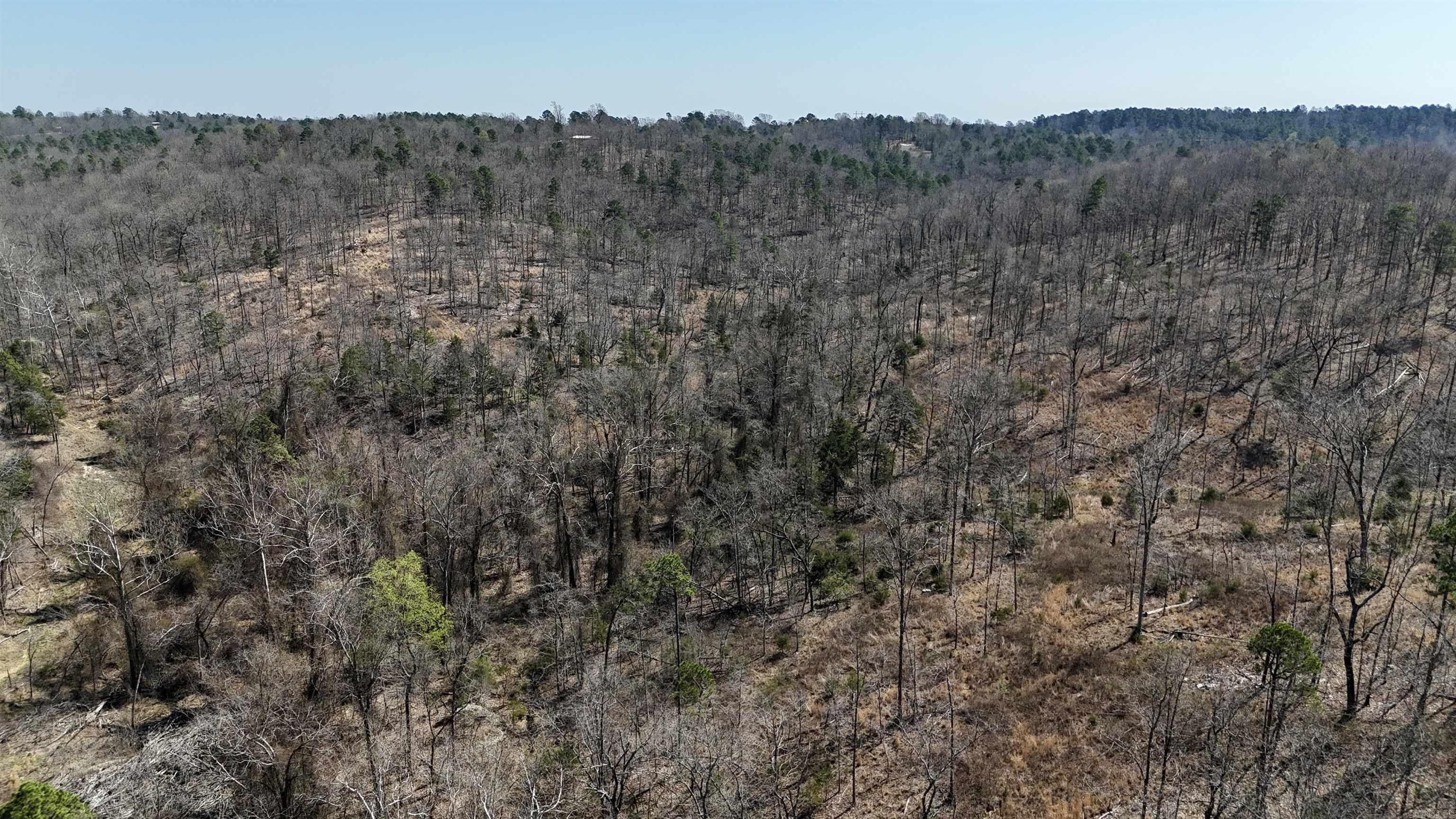 Photo 34 - Vacant Land for sale – 311  Rock Hill   Dolph, AR