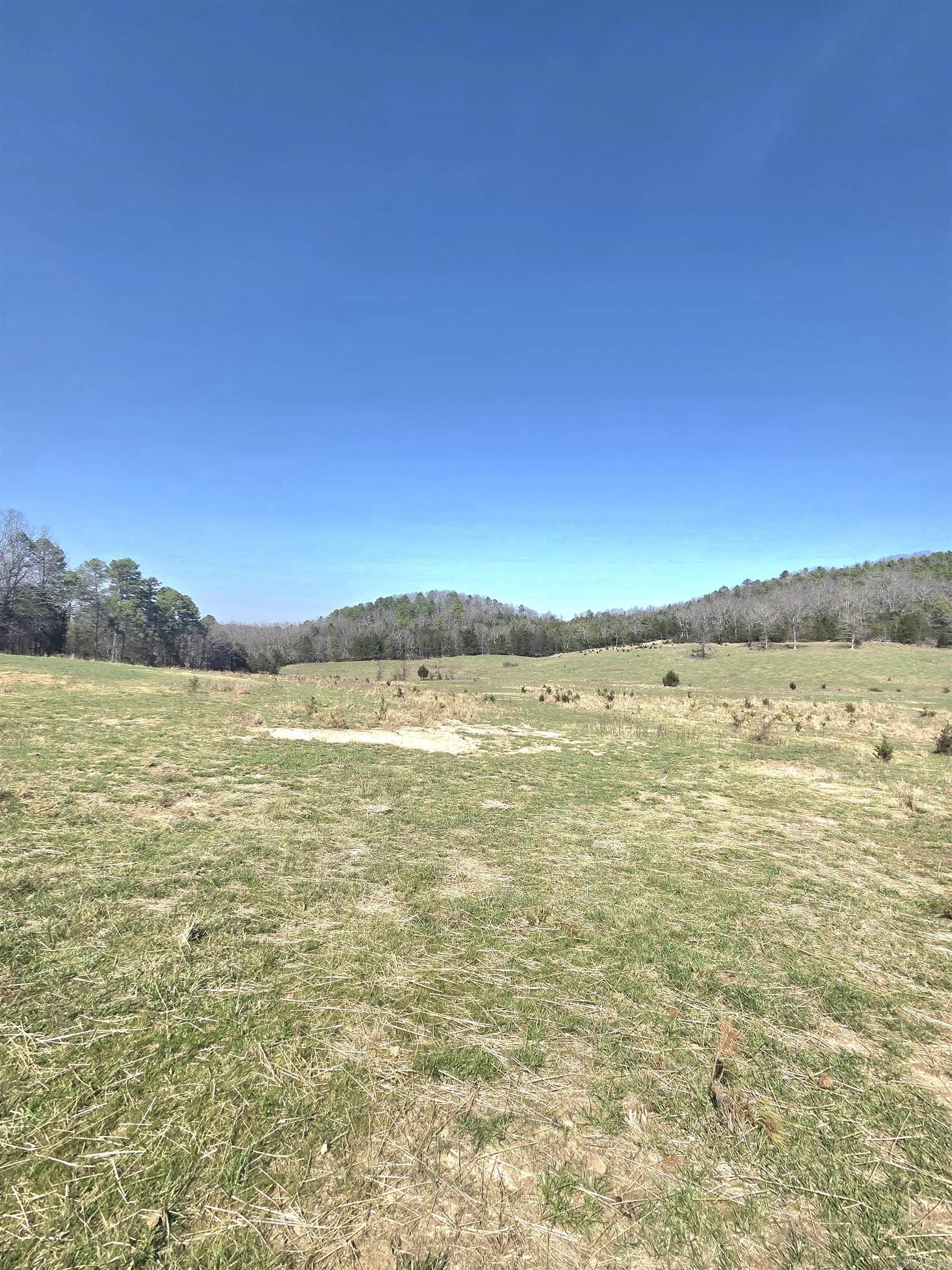Photo 5 - Vacant Land for sale – 311  Rock Hill   Dolph, AR