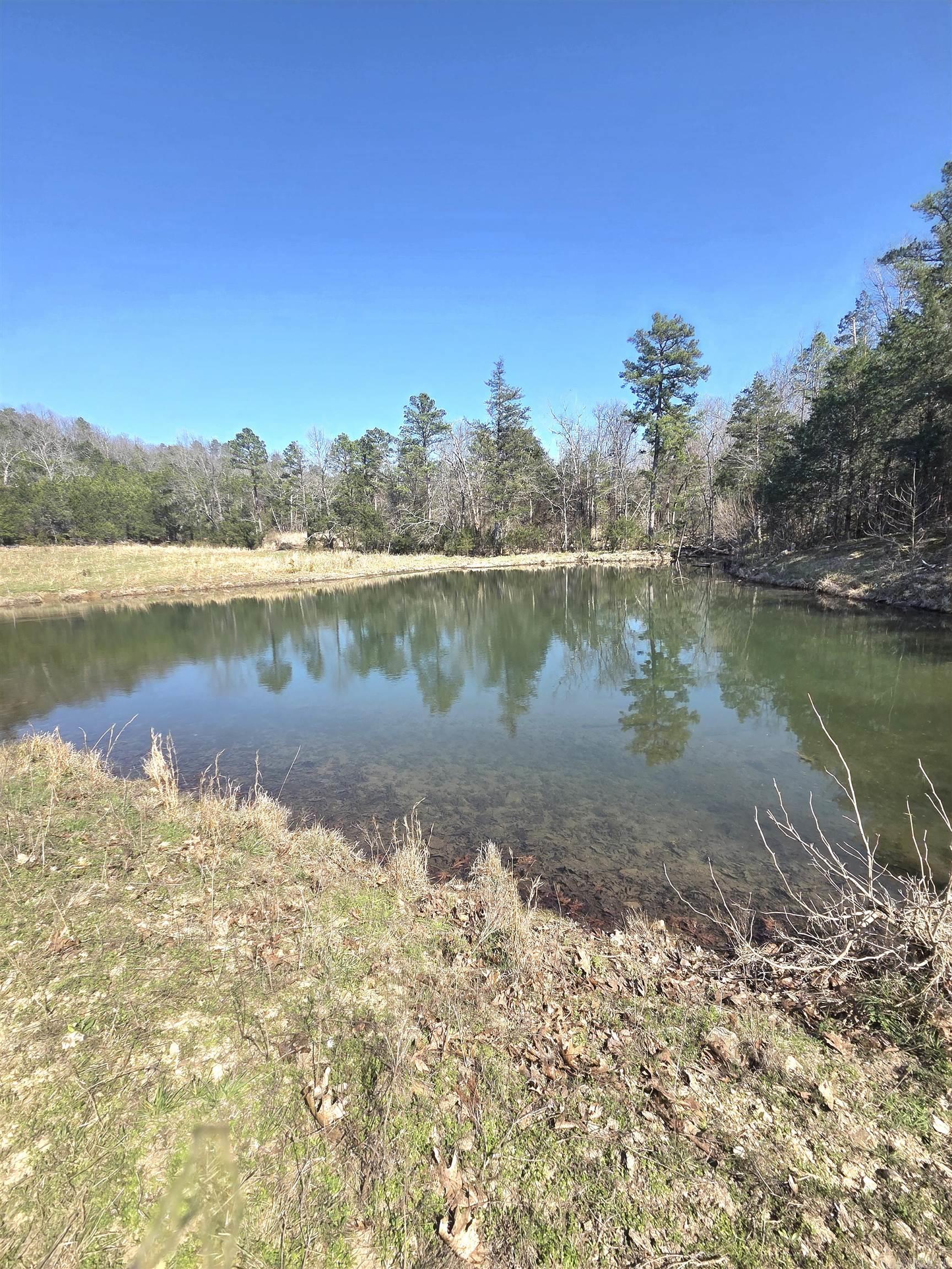 Photo 7 - Vacant Land for sale – 311  Rock Hill   Dolph, AR