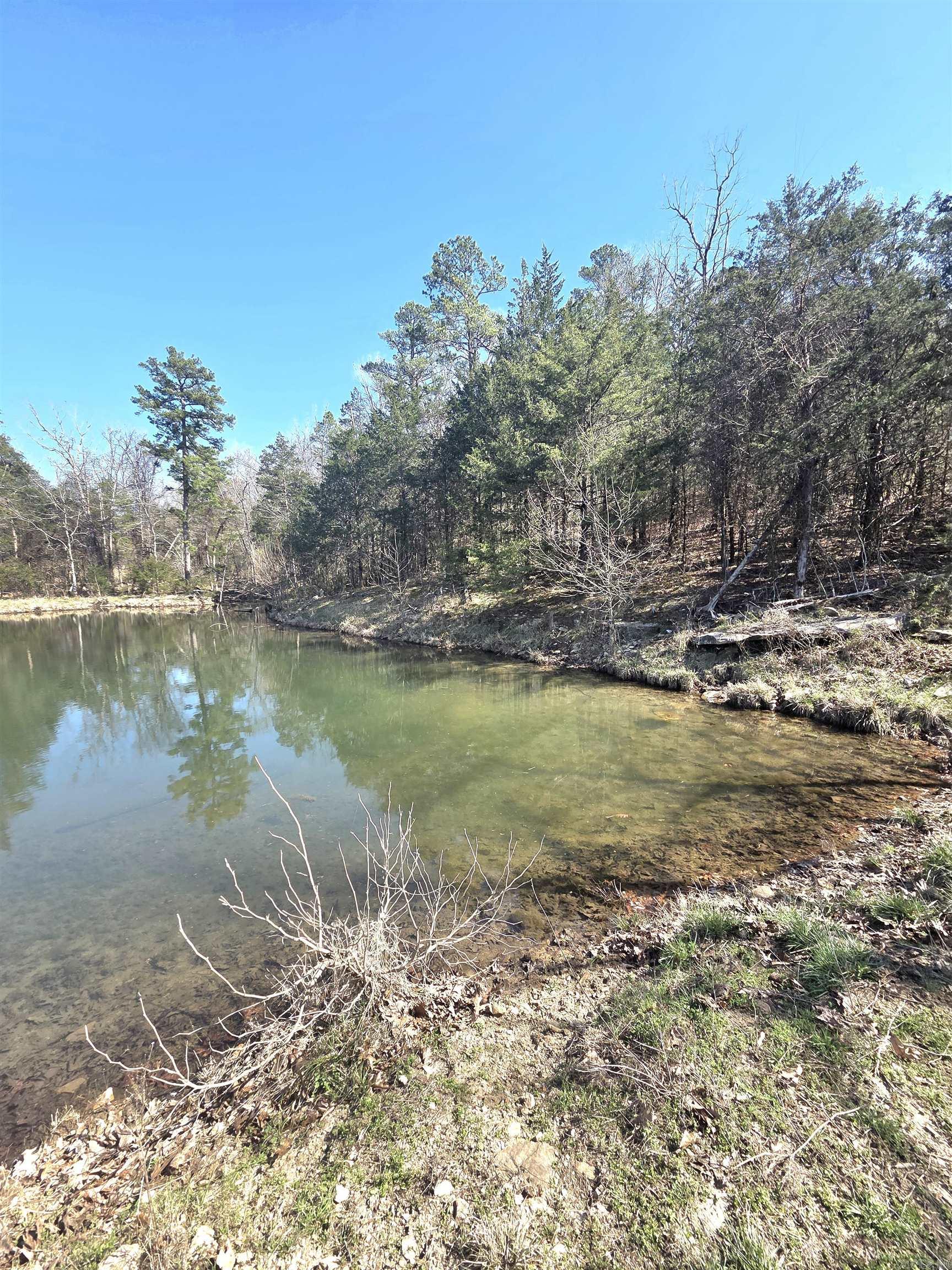 Photo 8 - Vacant Land for sale – 311  Rock Hill   Dolph, AR