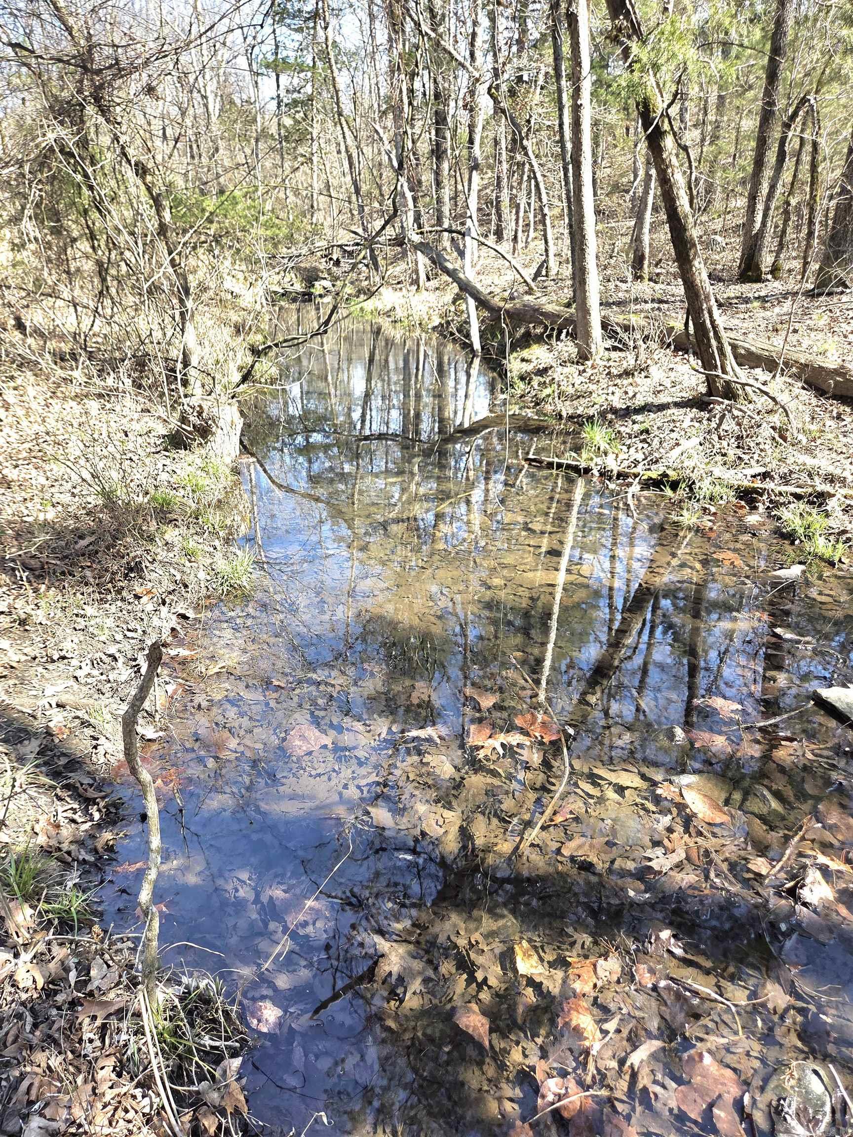 Photo 9 - Vacant Land for sale – 311  Rock Hill   Dolph, AR