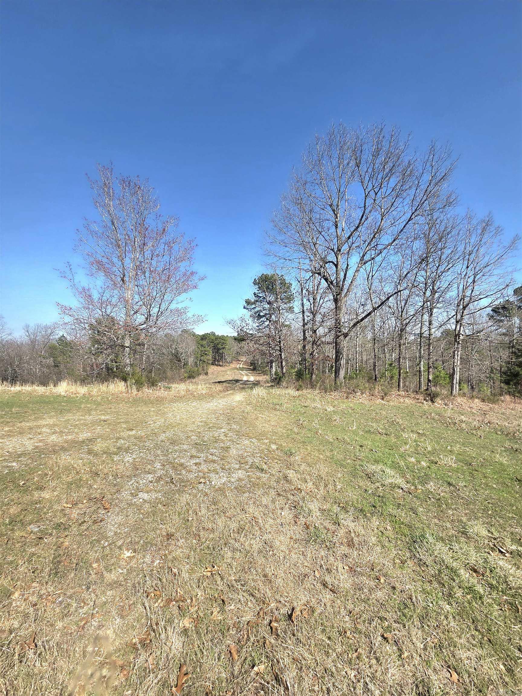 Photo 10 - Vacant Land for sale – 311  Rock Hill   Dolph, AR