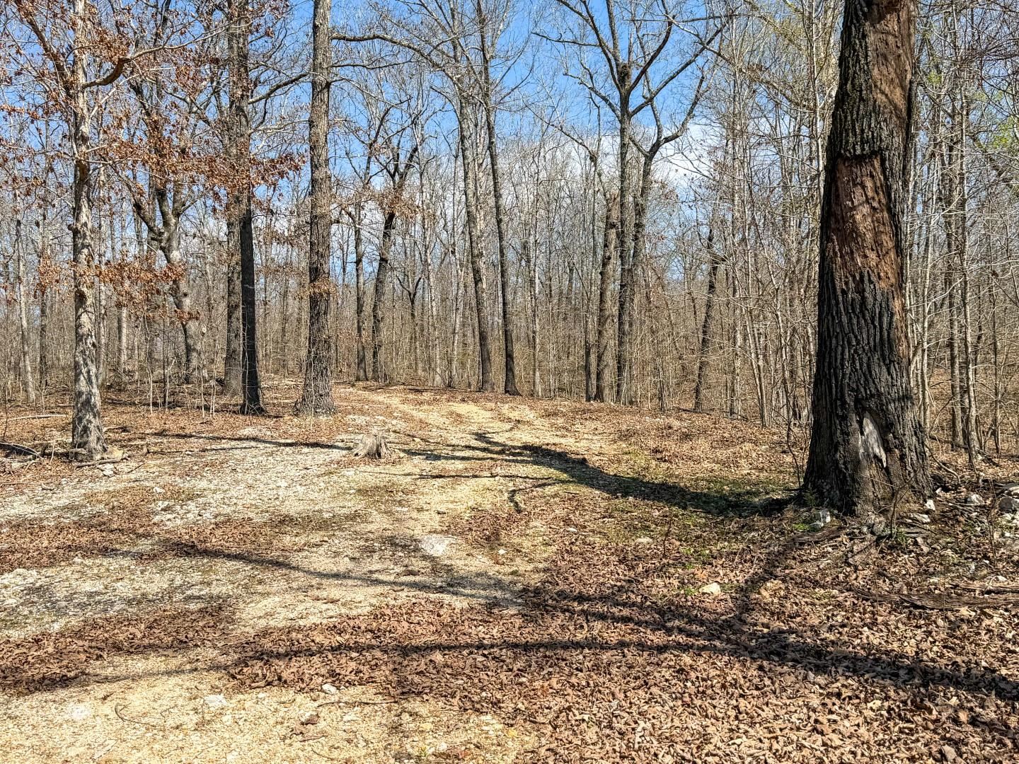 Photo 23 - Residential for sale – 7946  Heart   Mammoth Spring, AR