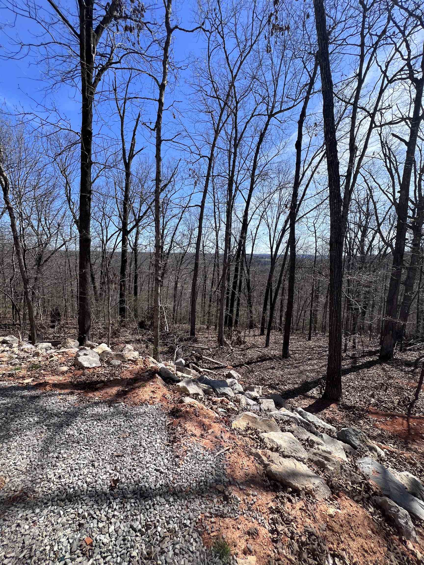 Photo 4 - Residential for sale – 104  Chism   Hardy, AR