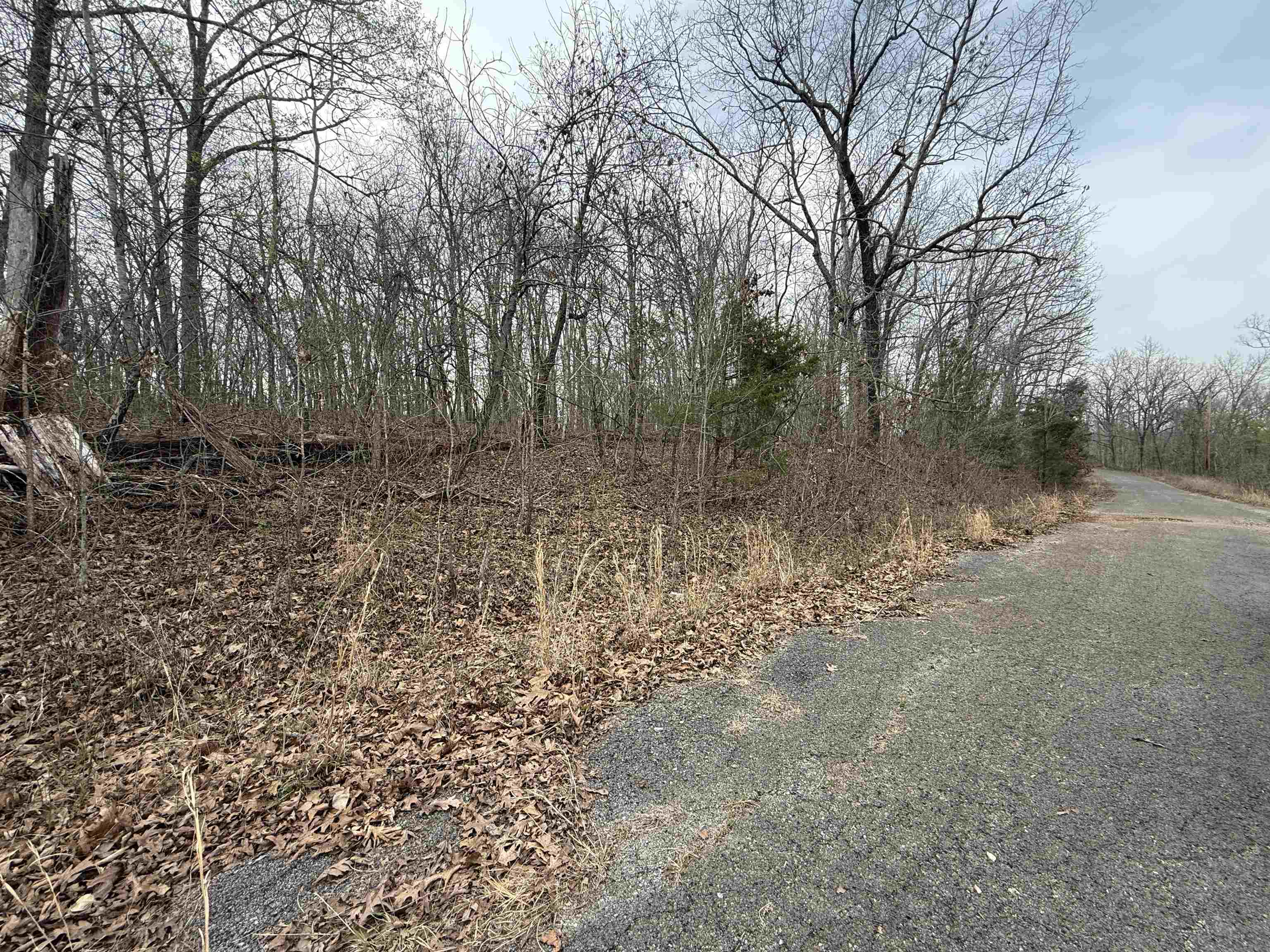 Vacant Land for sale – TBD  Will Scarlet   Hardy, AR