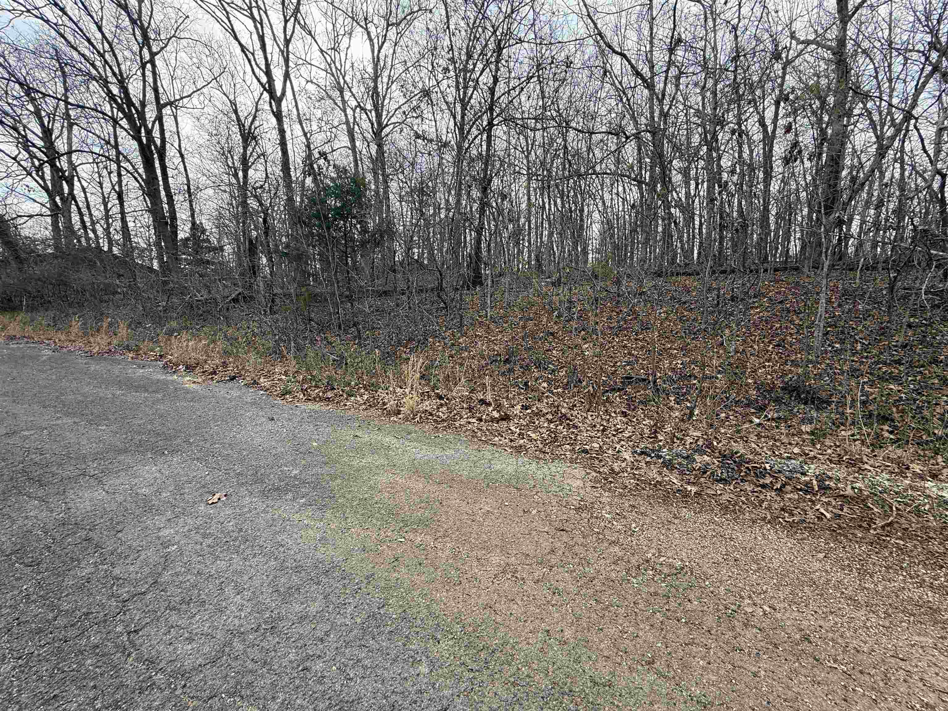 Photo 2 - Vacant Land for sale – TBD  Will Scarlet   Hardy, AR