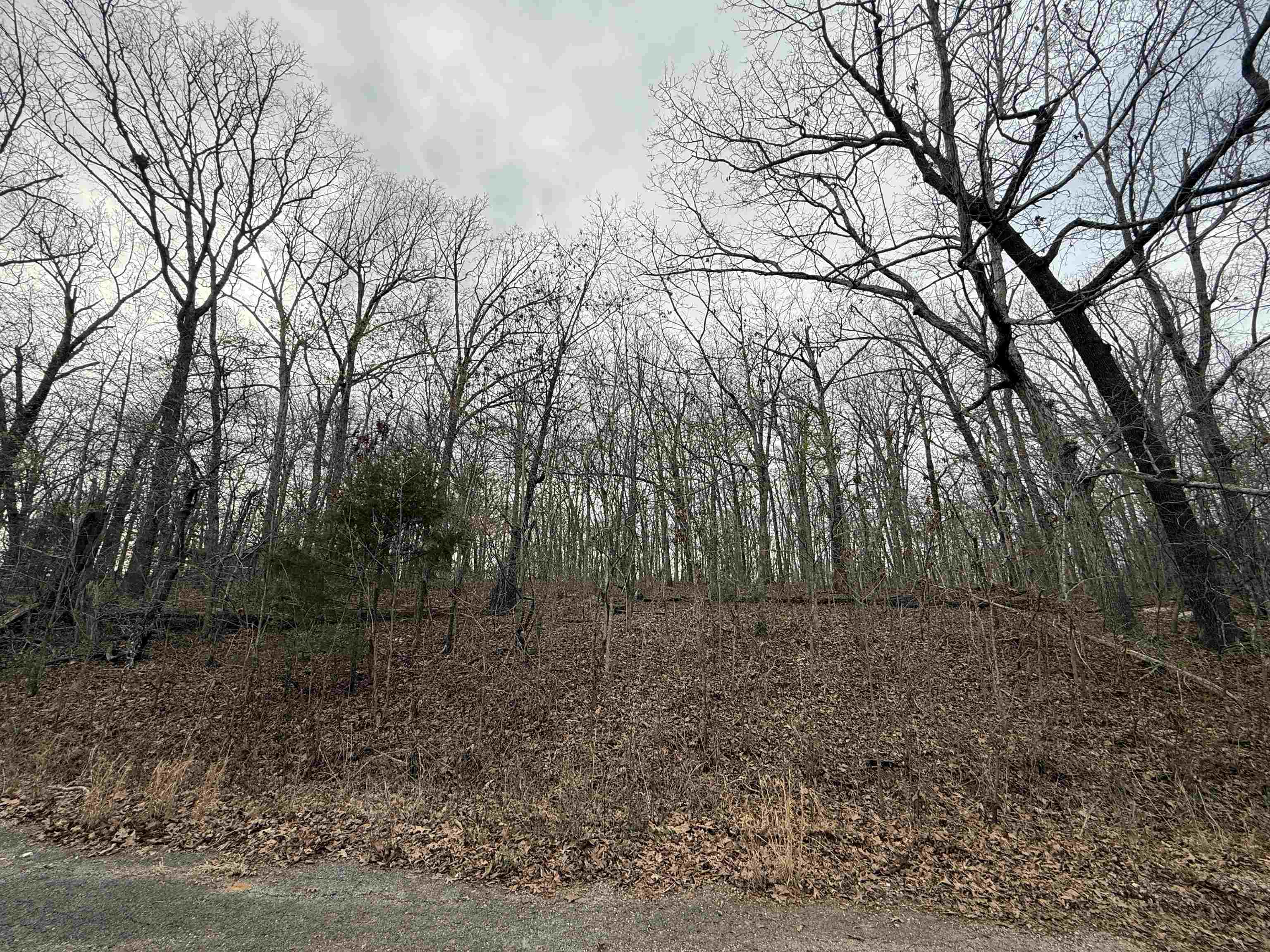 Photo 3 - Vacant Land for sale – TBD  Will Scarlet   Hardy, AR