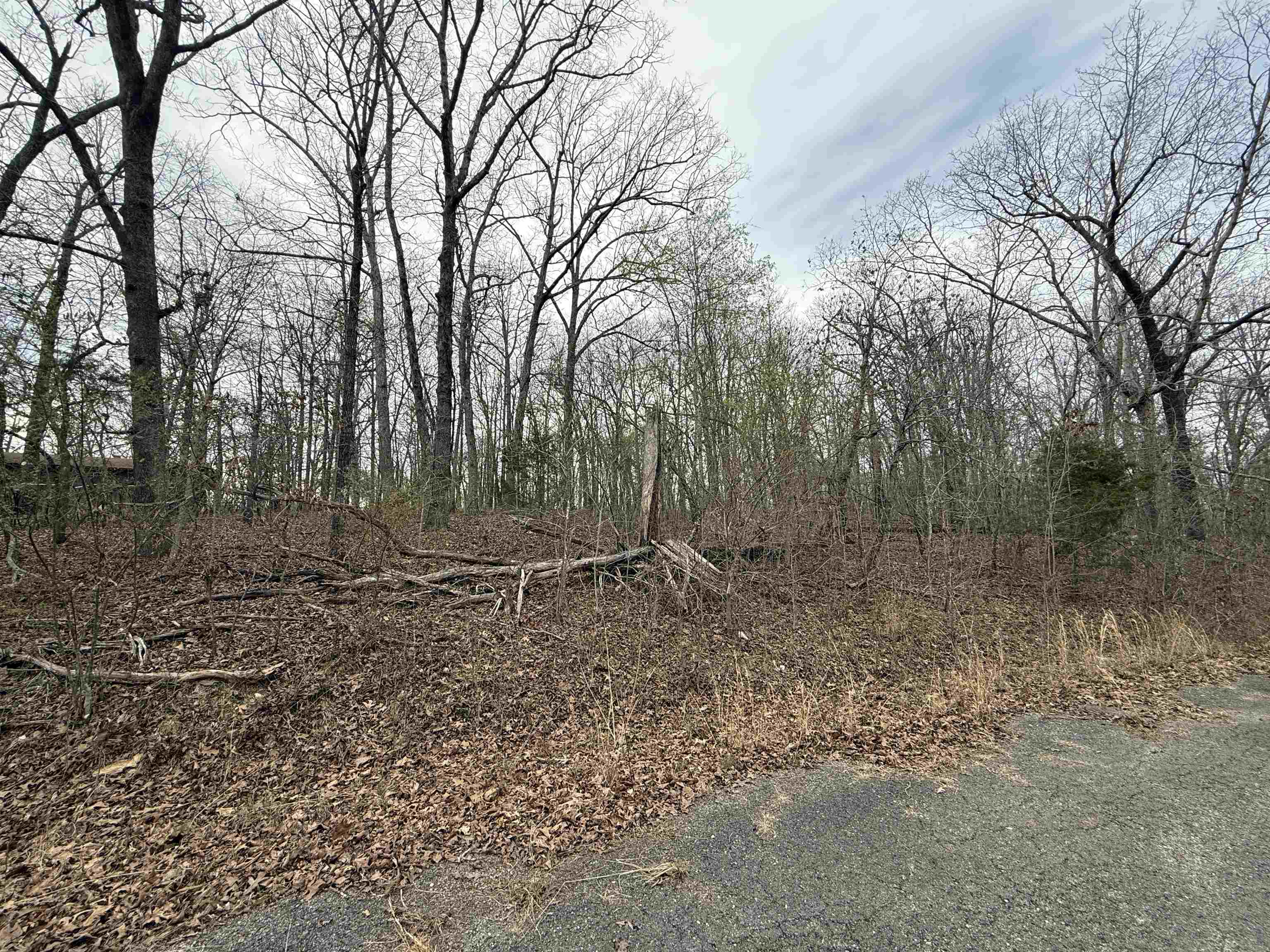 Photo 4 - Vacant Land for sale – TBD  Will Scarlet   Hardy, AR