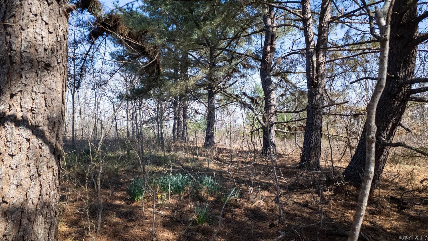 Photo 11 - Vacant Land for sale – 000  Shands Road   Evening Shade, AR