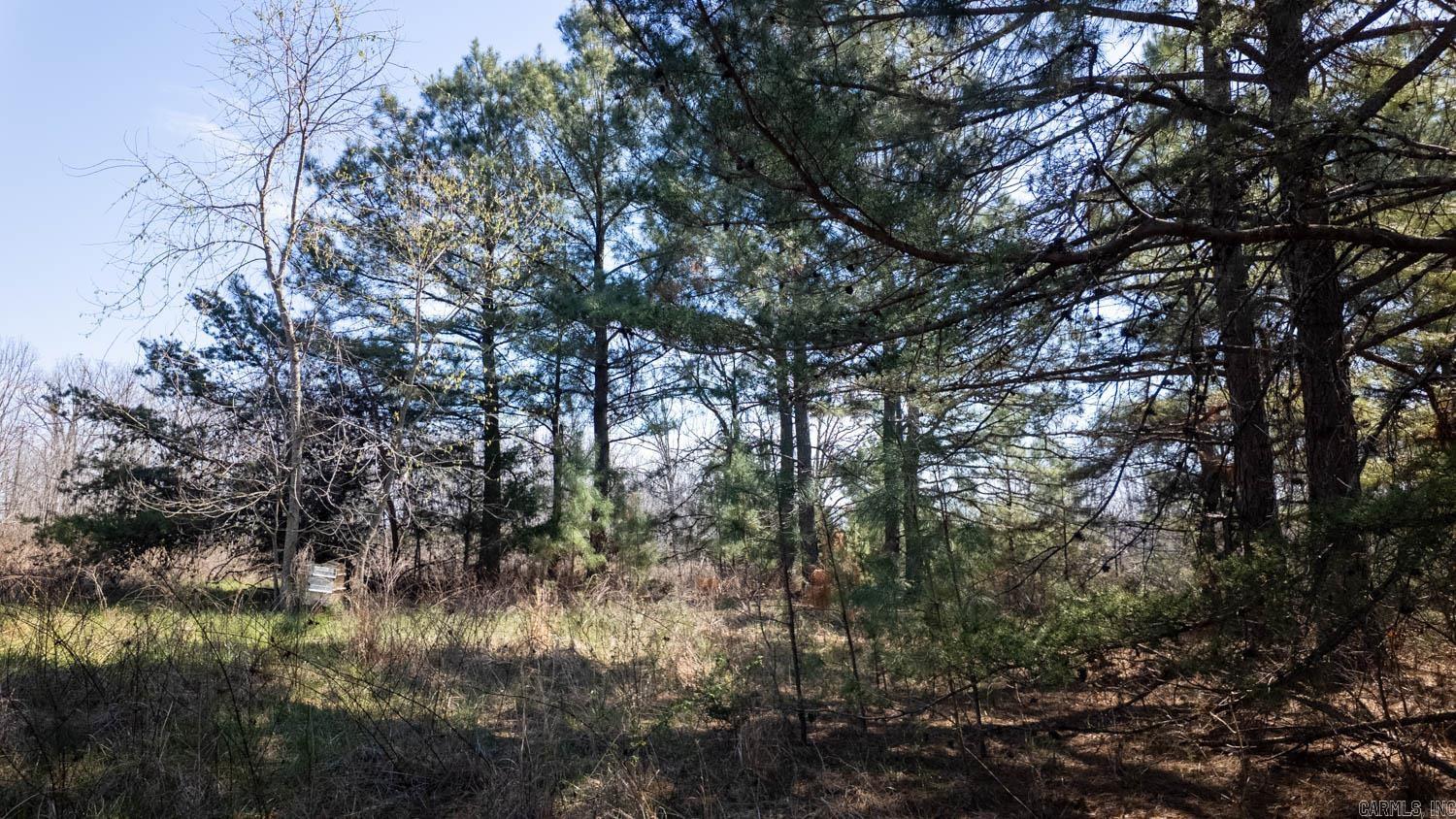 Photo 14 - Vacant Land for sale – 000  Shands Road   Evening Shade, AR