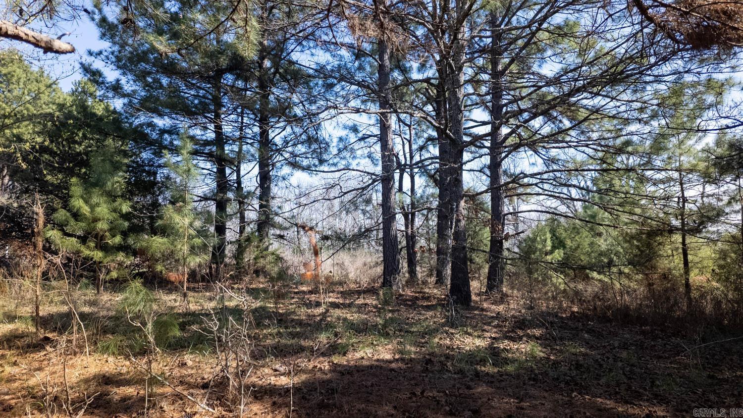 Photo 15 - Vacant Land for sale – 000  Shands Road   Evening Shade, AR