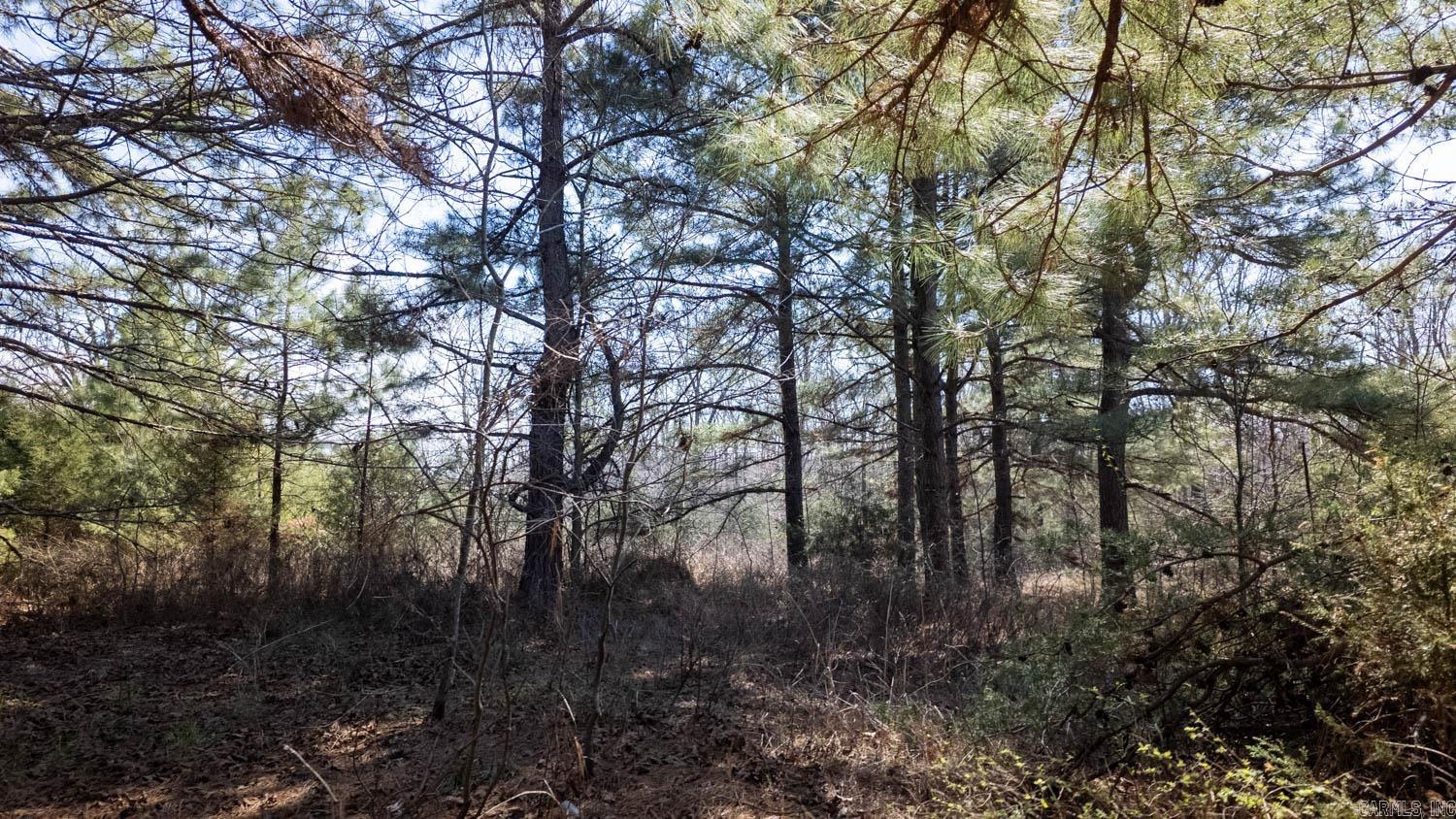 Photo 16 - Vacant Land for sale – 000  Shands Road   Evening Shade, AR