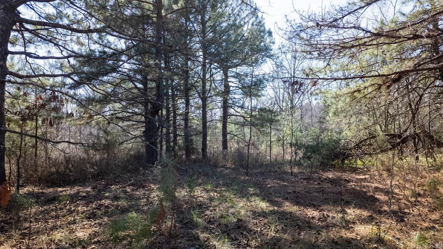 Photo 17 - Vacant Land for sale – 000  Shands Road   Evening Shade, AR