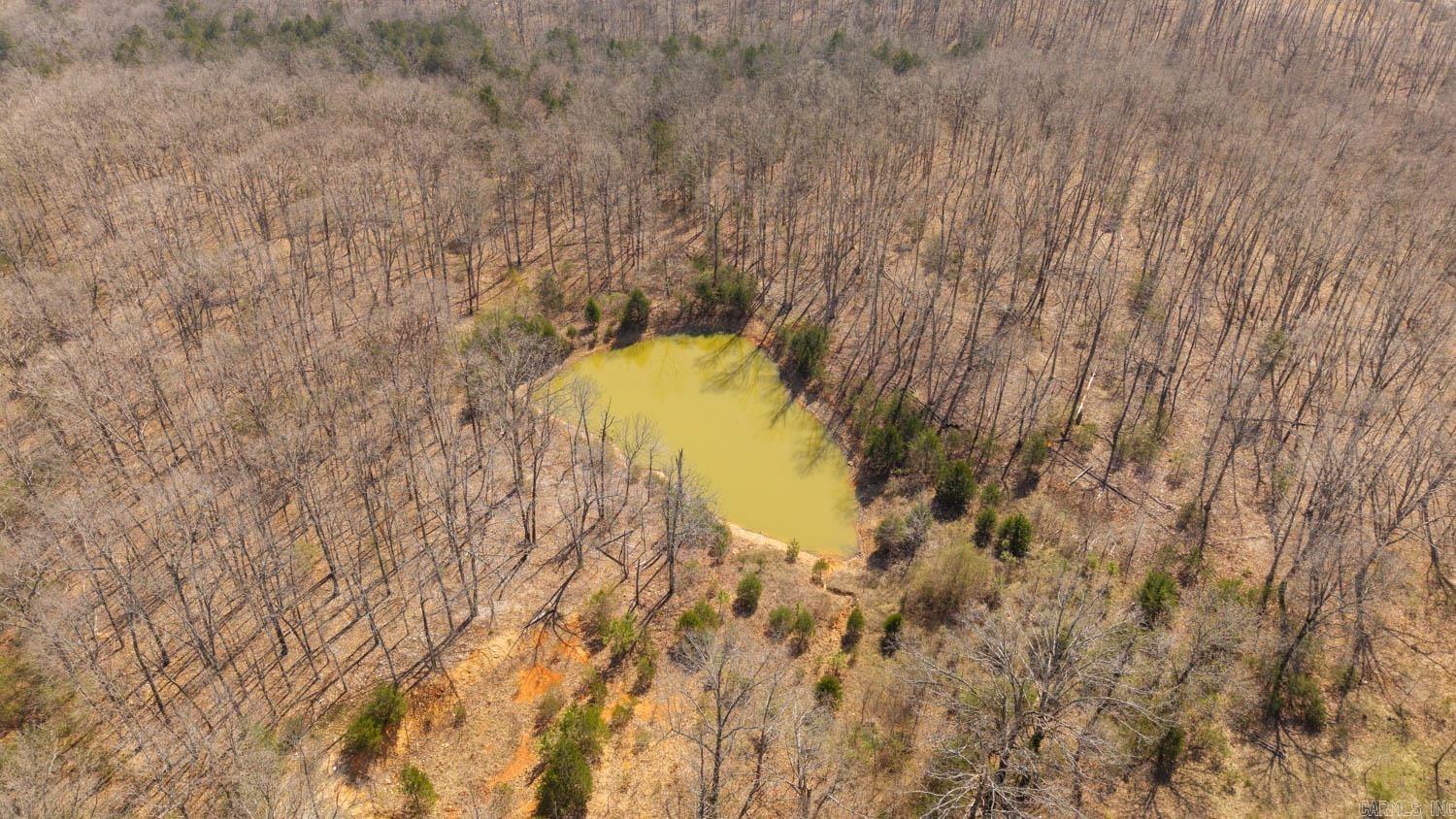 Photo 19 - Vacant Land for sale – 000  Shands Road   Evening Shade, AR