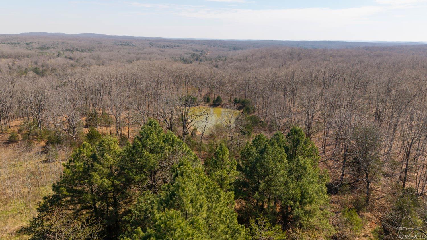 Photo 22 - Vacant Land for sale – 000  Shands Road   Evening Shade, AR
