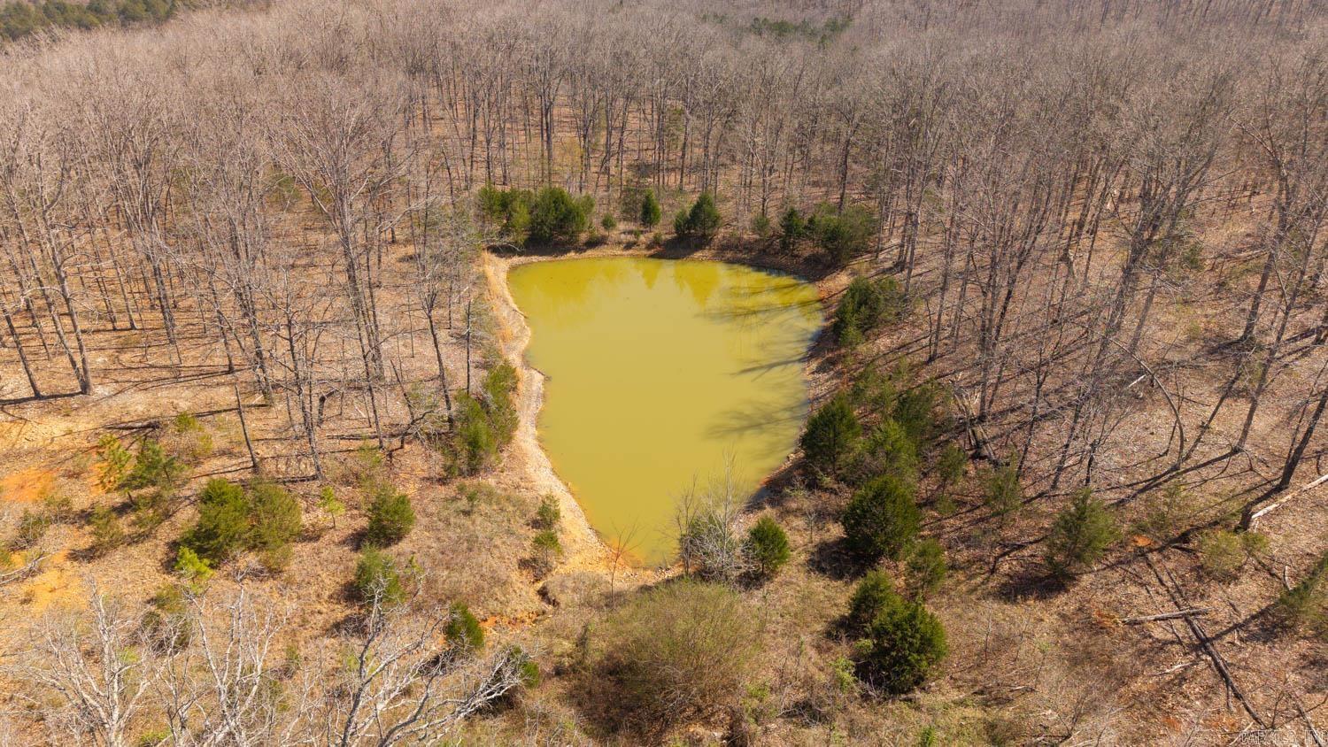 Photo 23 - Vacant Land for sale – 000  Shands Road   Evening Shade, AR