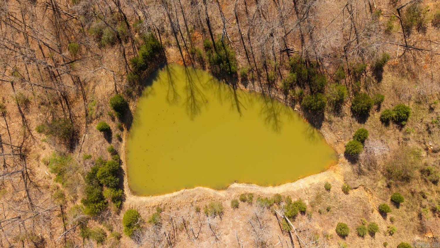 Photo 25 - Vacant Land for sale – 000  Shands Road   Evening Shade, AR