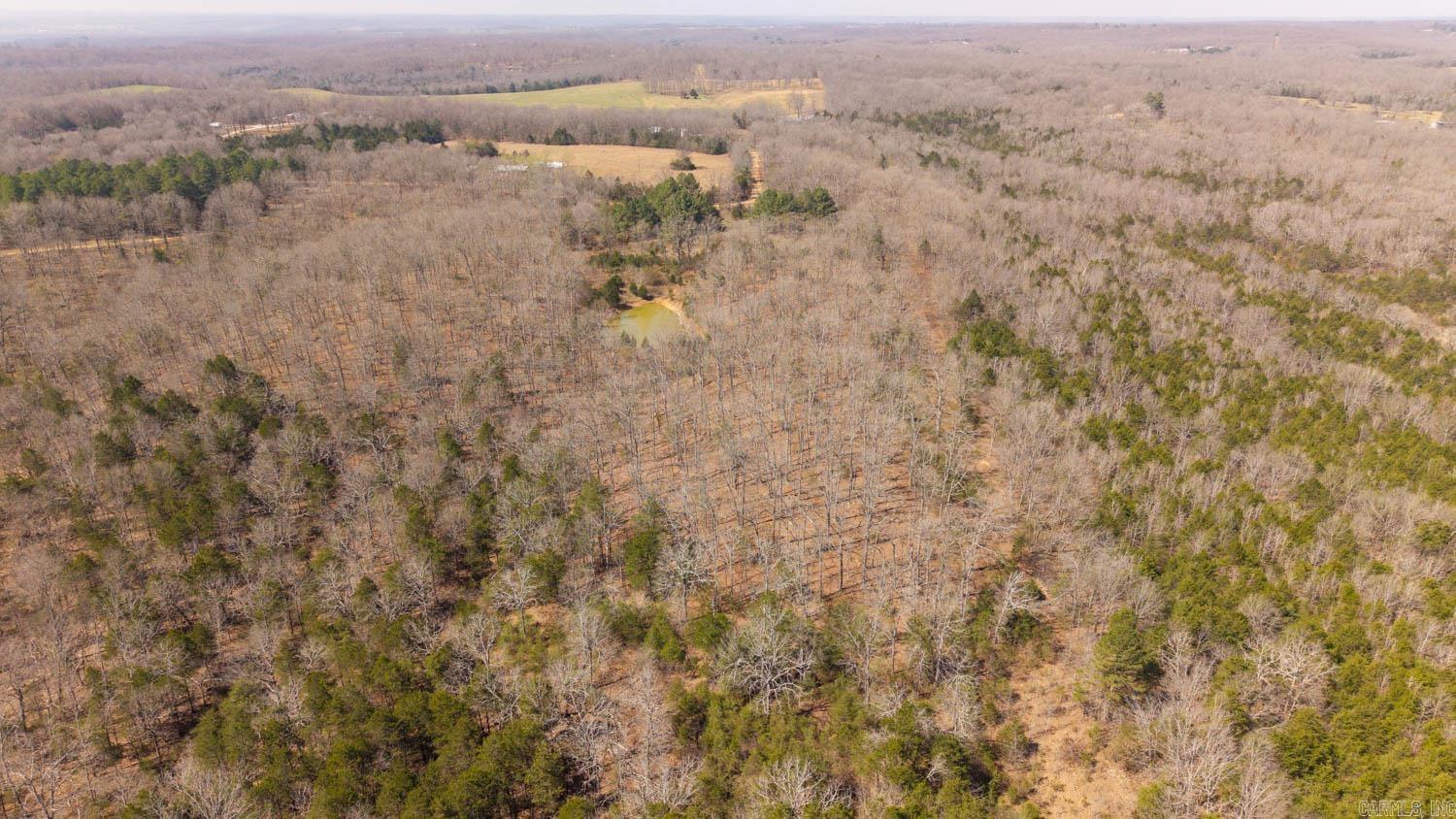 Photo 26 - Vacant Land for sale – 000  Shands Road   Evening Shade, AR