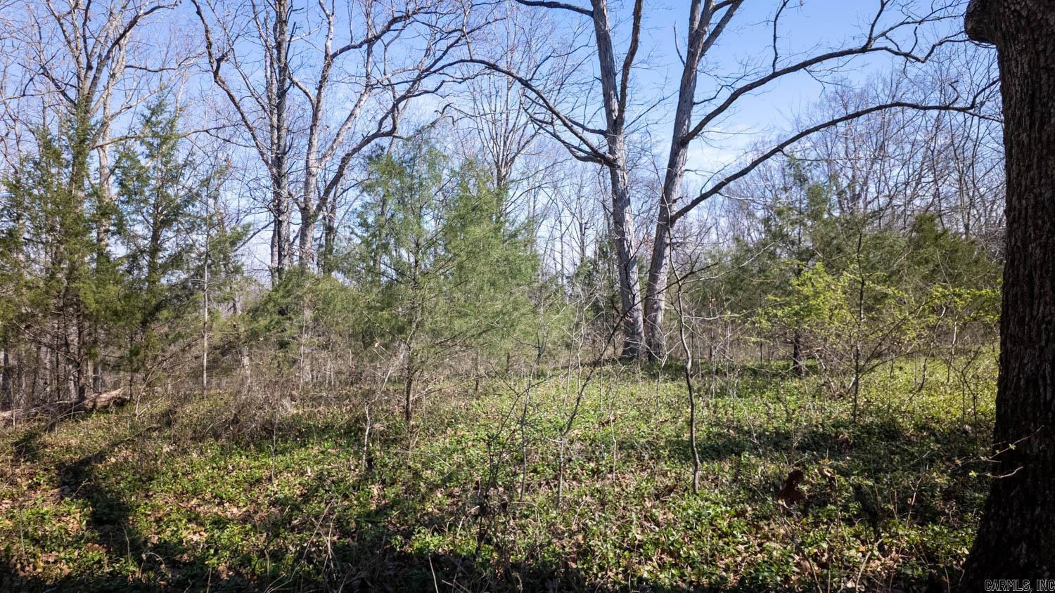 Photo 4 - Vacant Land for sale – 000  Shands Road   Evening Shade, AR