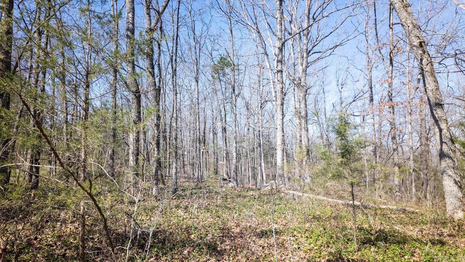 Photo 7 - Vacant Land for sale – 000  Shands Road   Evening Shade, AR