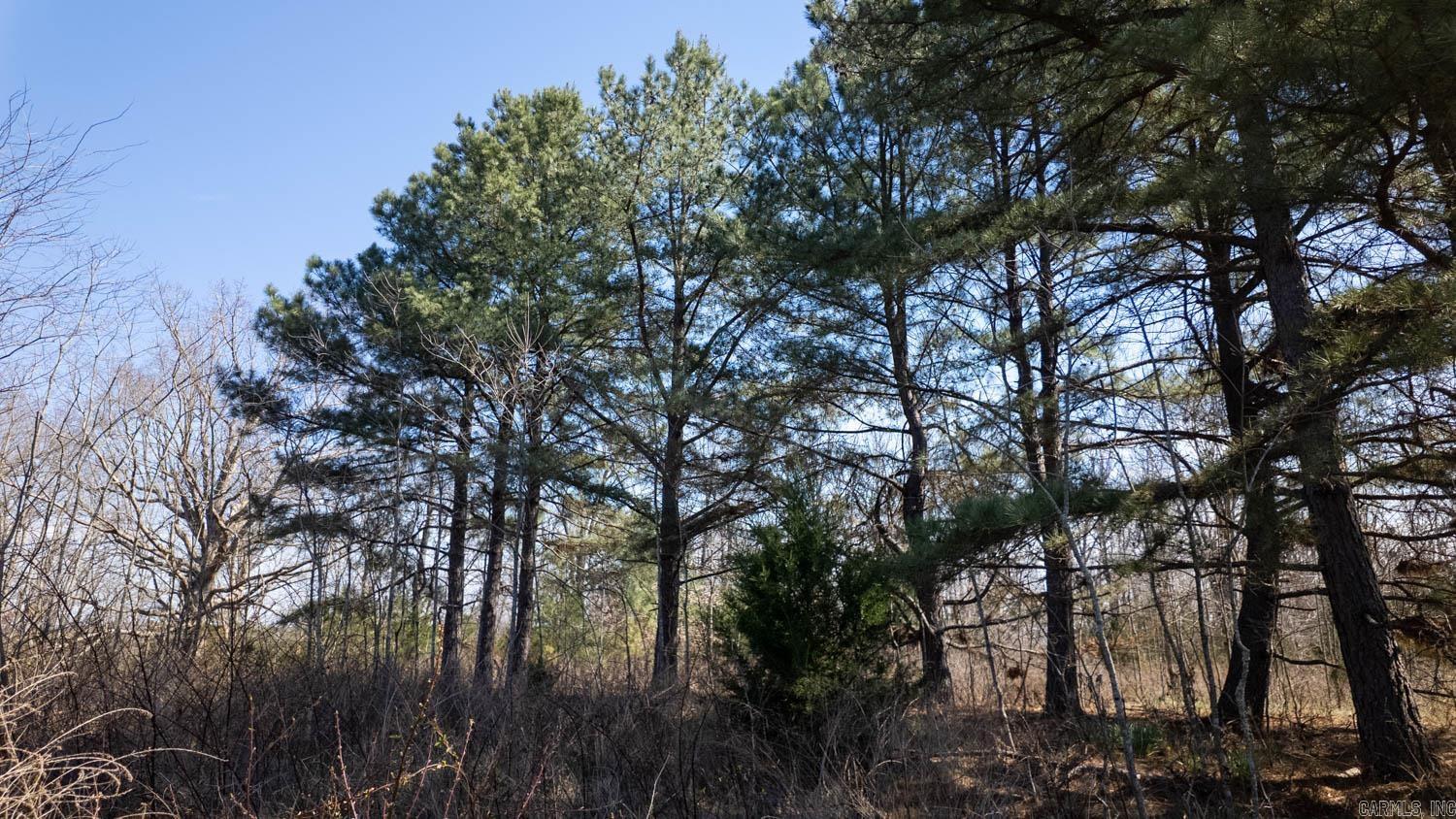 Photo 10 - Vacant Land for sale – 000  Shands Road   Evening Shade, AR