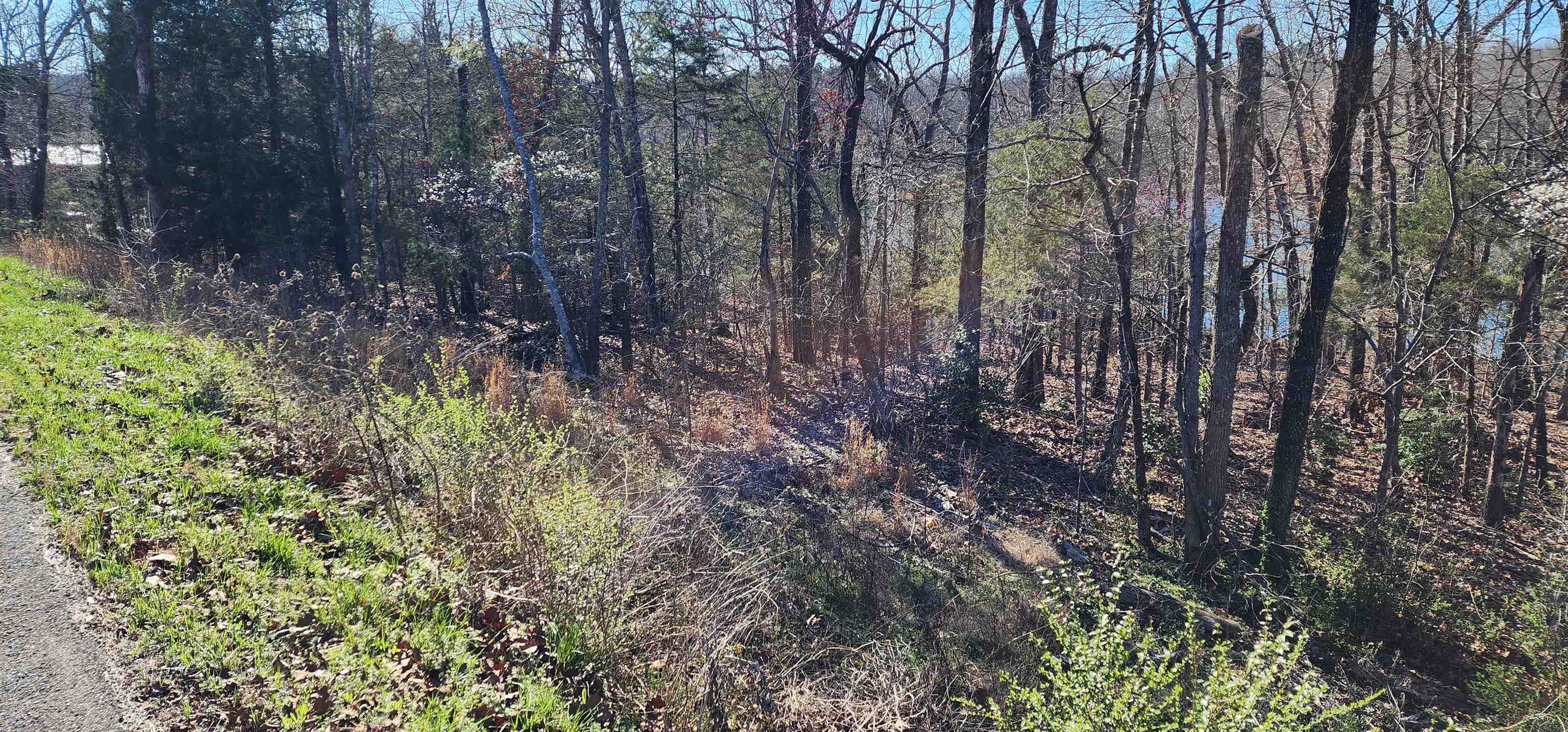 Photo 2 - Vacant Land for sale – TBD  Isleta   Cherokee Village, AR