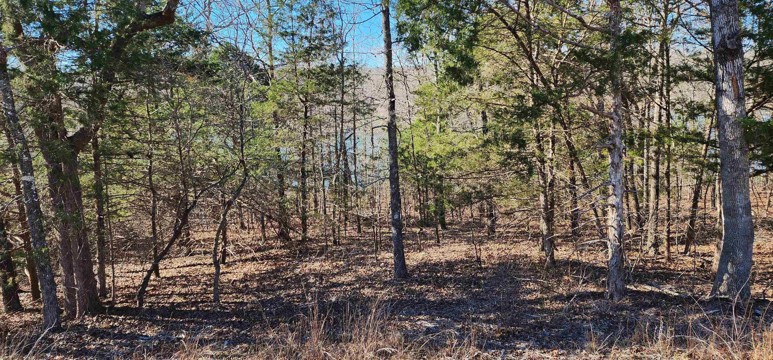 Photo 3 - Vacant Land for sale – TBD  Isleta   Cherokee Village, AR