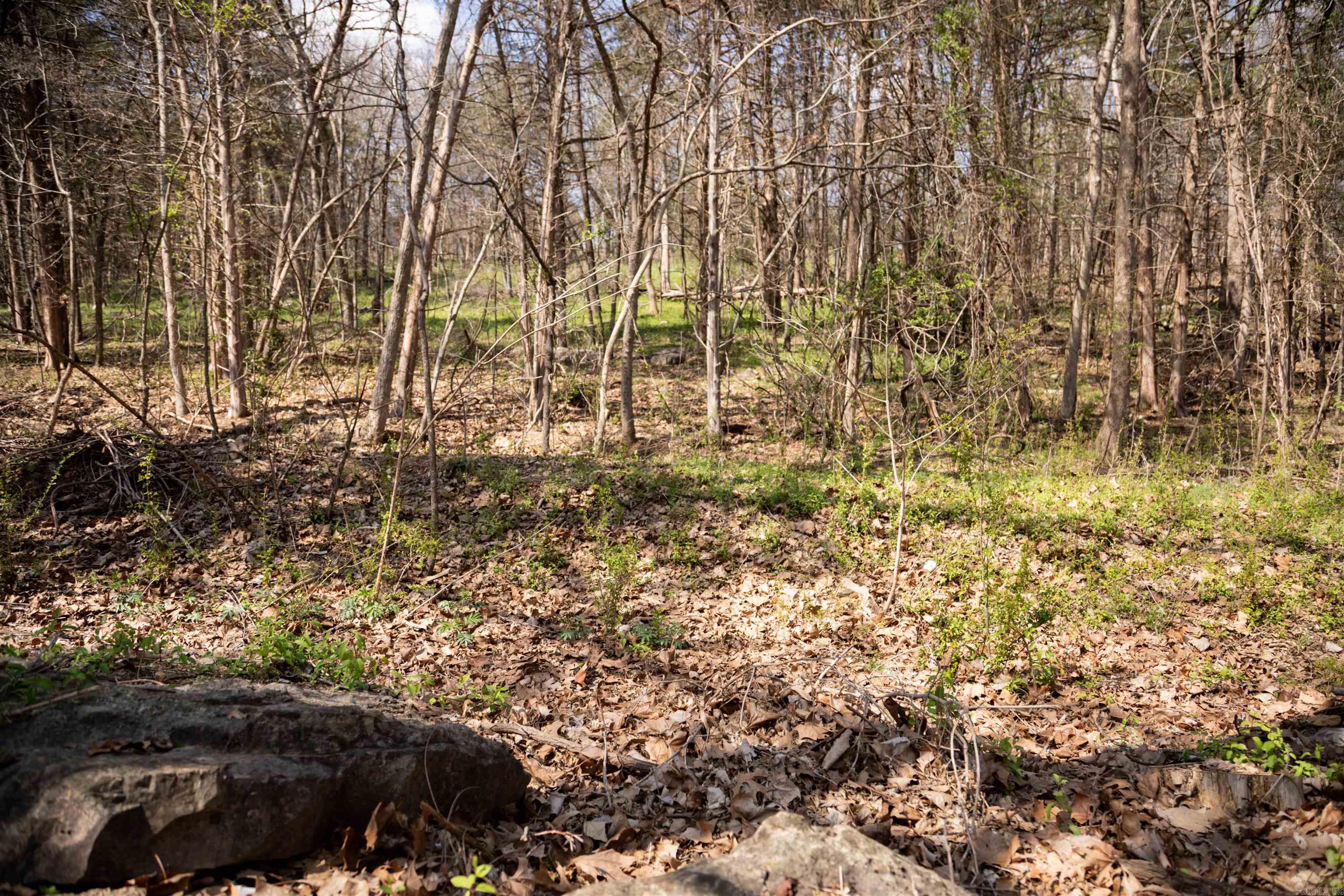 Photo 40 - Residential for sale – 6  Akokisa Dr   Cherokee Village, AR