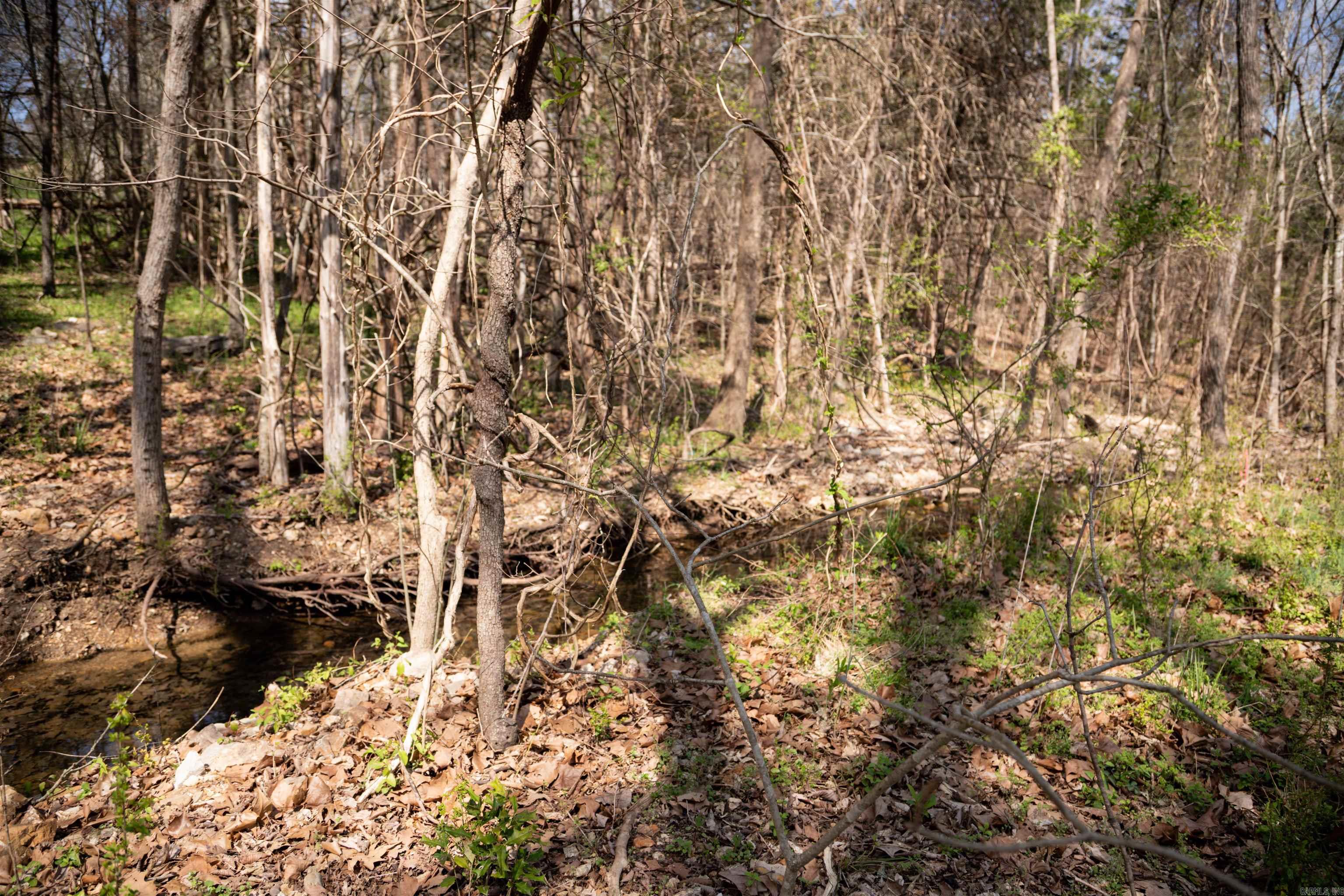 Photo 41 - Residential for sale – 6  Akokisa Dr   Cherokee Village, AR