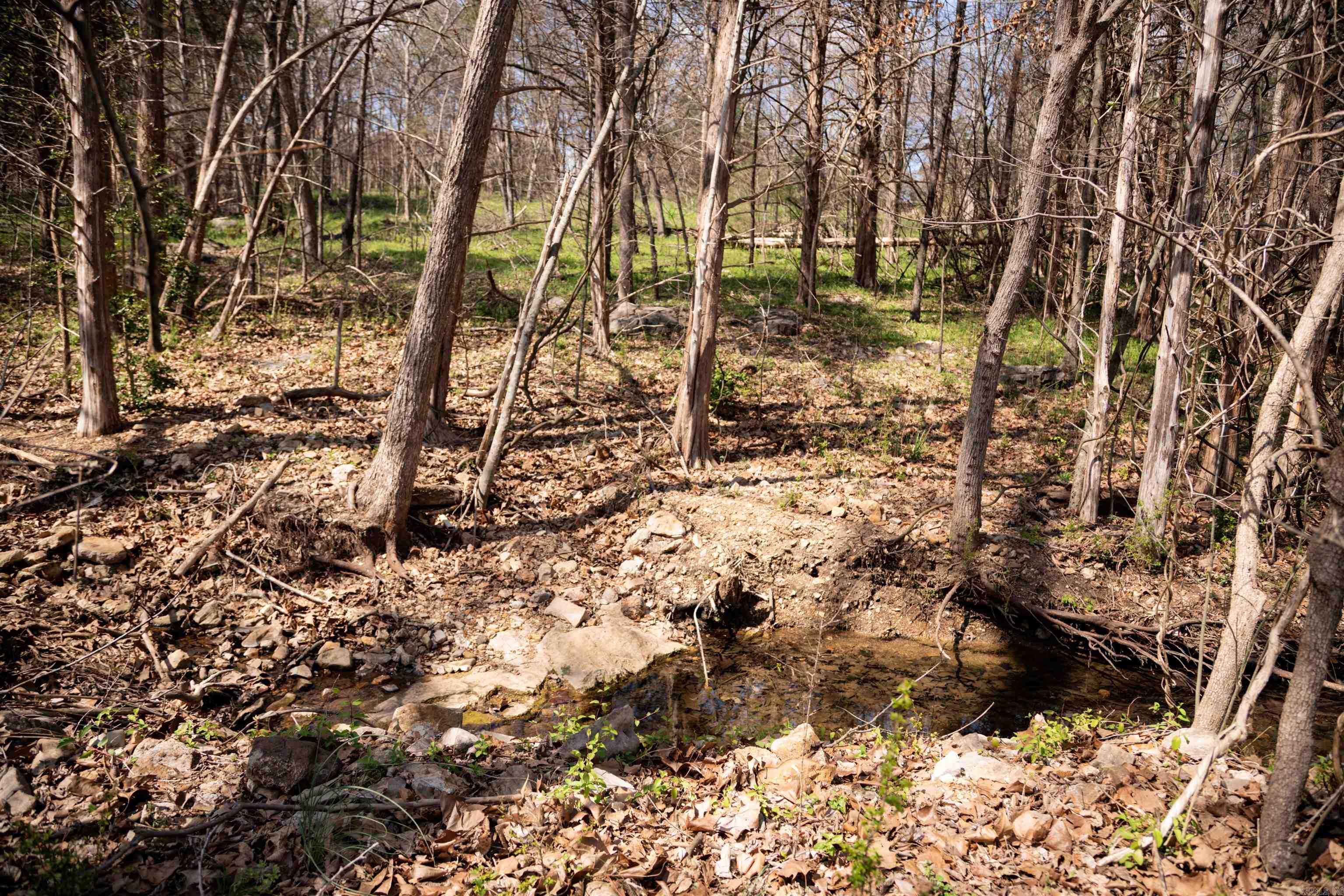 Photo 42 - Residential for sale – 6  Akokisa Dr   Cherokee Village, AR