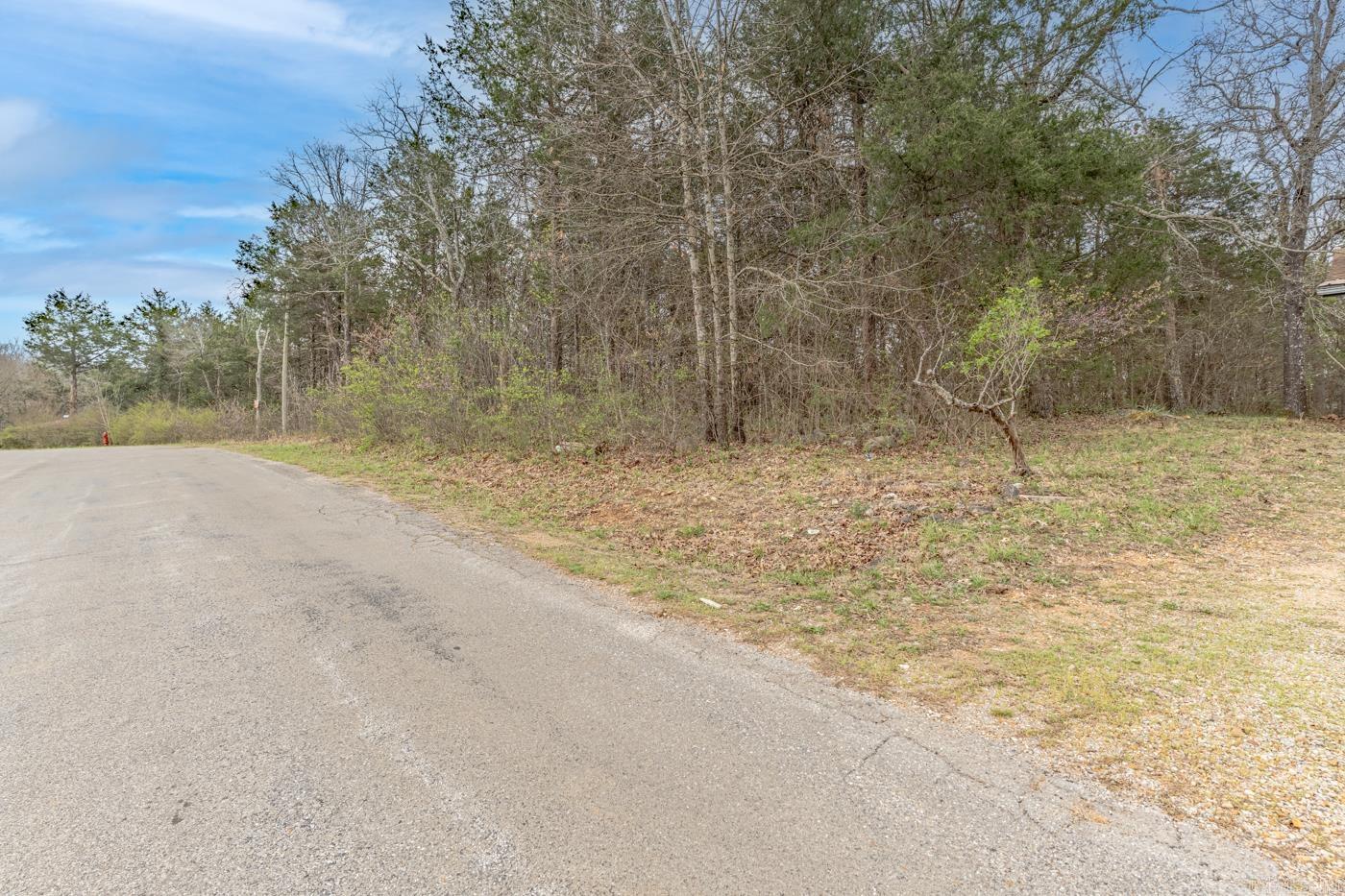 Photo 25 - Residential for sale – 50  Skyline   Cherokee Village, AR