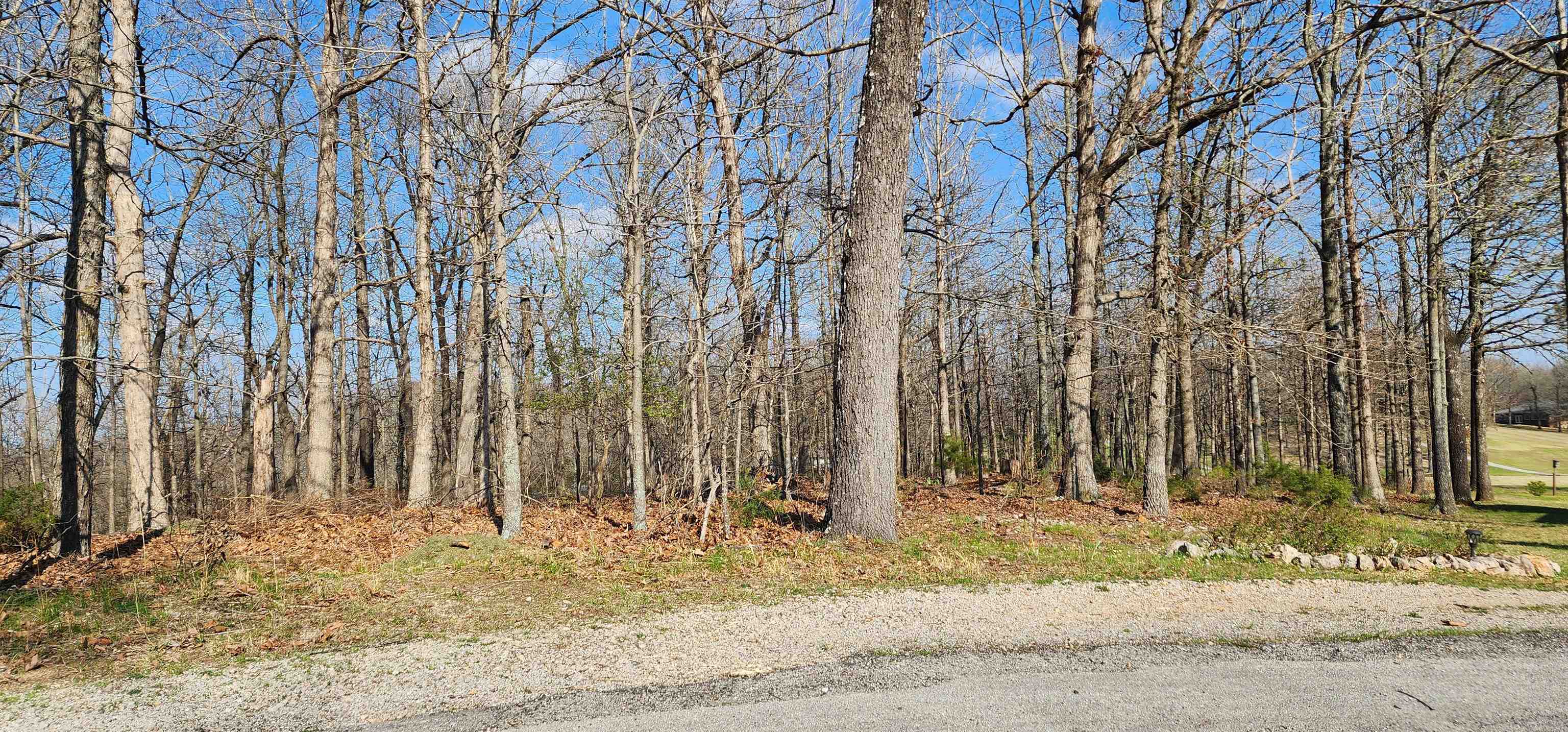 Photo 3 - Vacant Land for sale – TBD  Nishma   Cherokee Village, AR