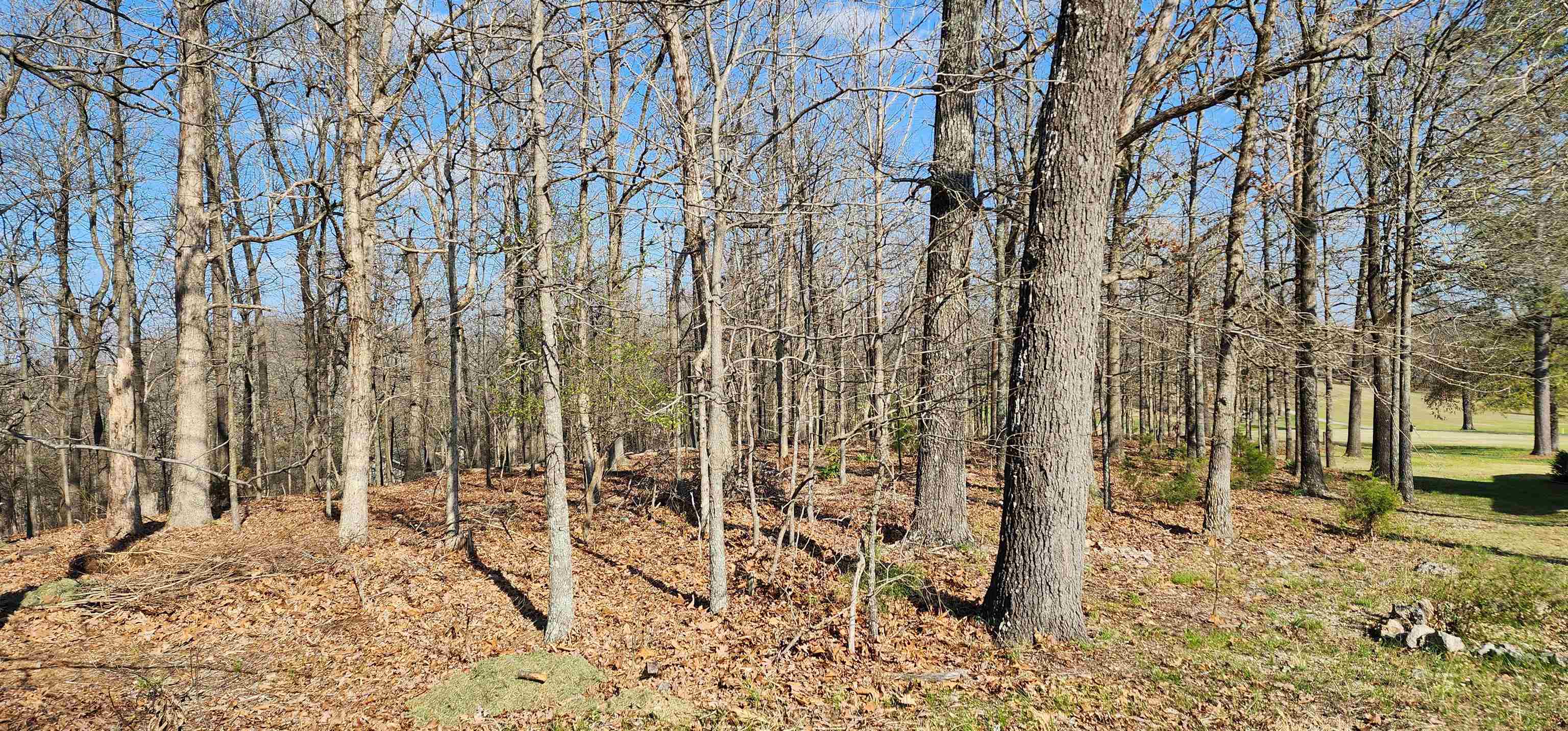 Photo 4 - Vacant Land for sale – TBD  Nishma   Cherokee Village, AR