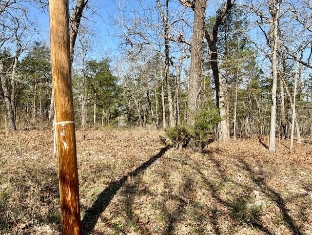 Photo 2 - Vacant Land for sale – TBD  Powhatan   Cherokee Village, AR