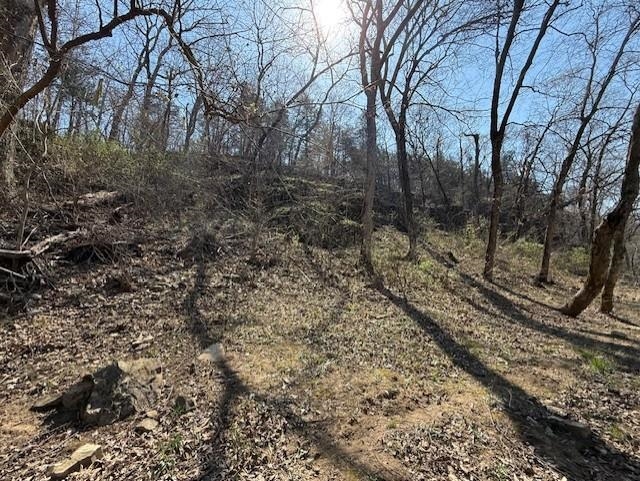 Photo 3 - Vacant Land for sale – TBD  Powhatan   Cherokee Village, AR