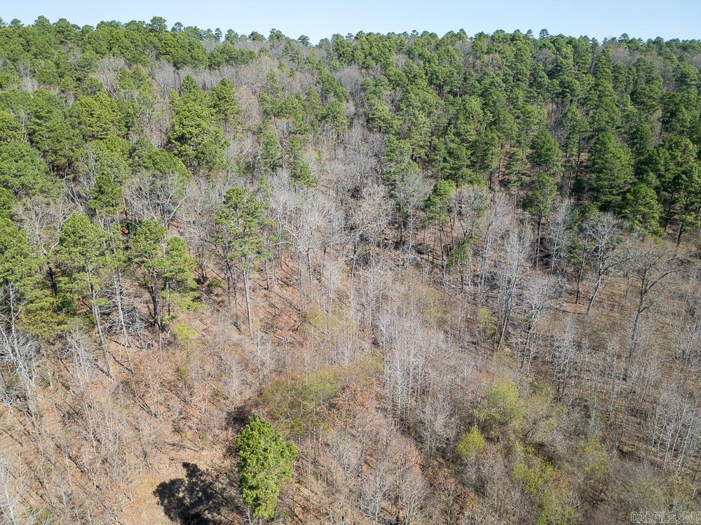 Photo 2 - Vacant Land for sale – 0000  Union Hill   Pleasant Plains, AR