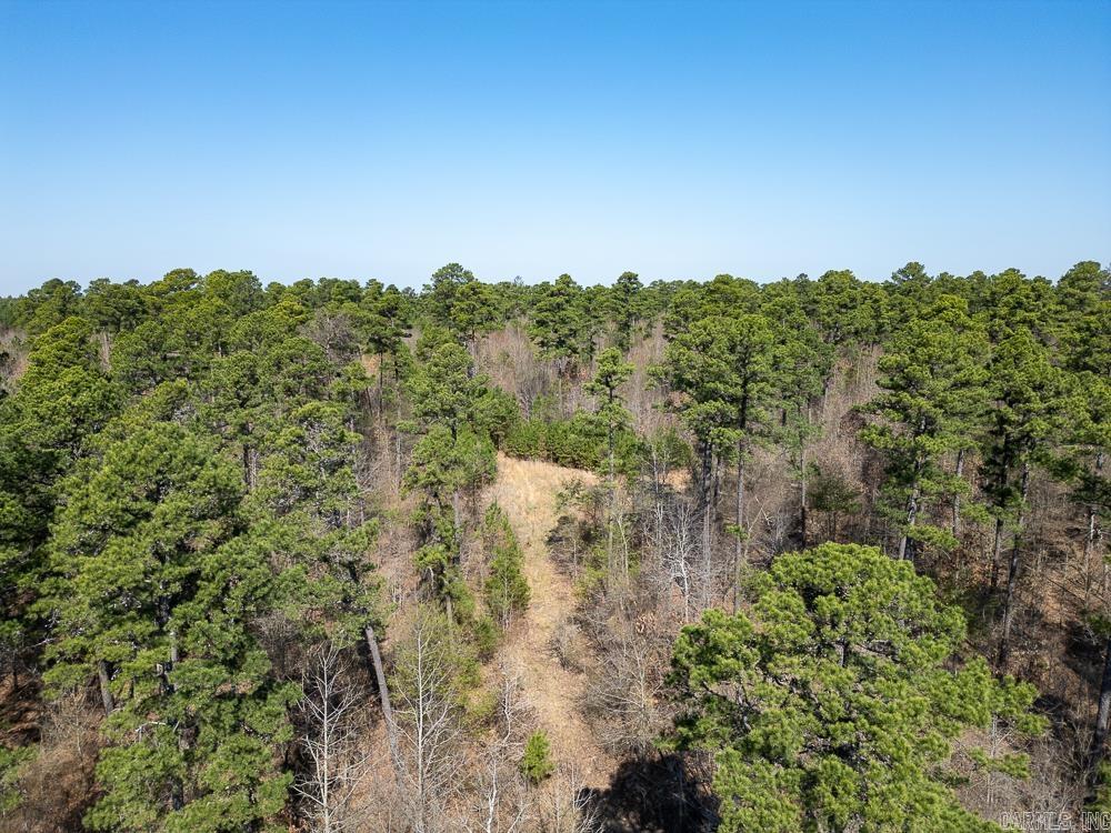 Photo 11 - Vacant Land for sale – 0000  Union Hill   Pleasant Plains, AR