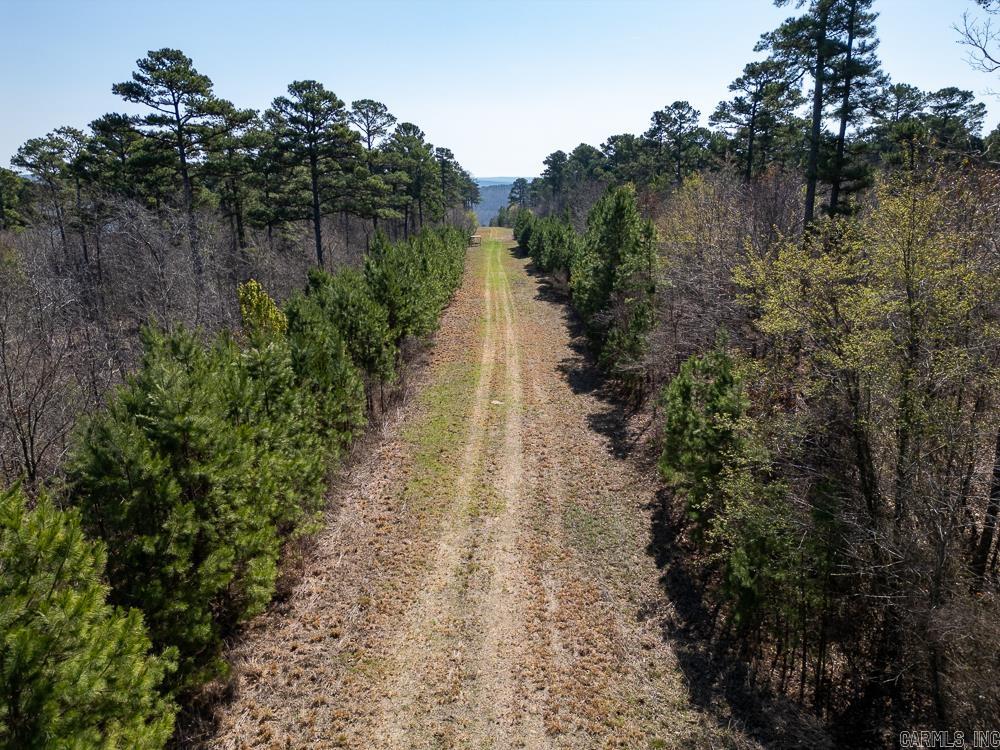 Photo 12 - Vacant Land for sale – 0000  Union Hill   Pleasant Plains, AR