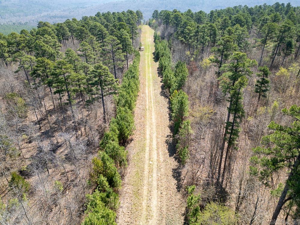 Photo 13 - Vacant Land for sale – 0000  Union Hill   Pleasant Plains, AR