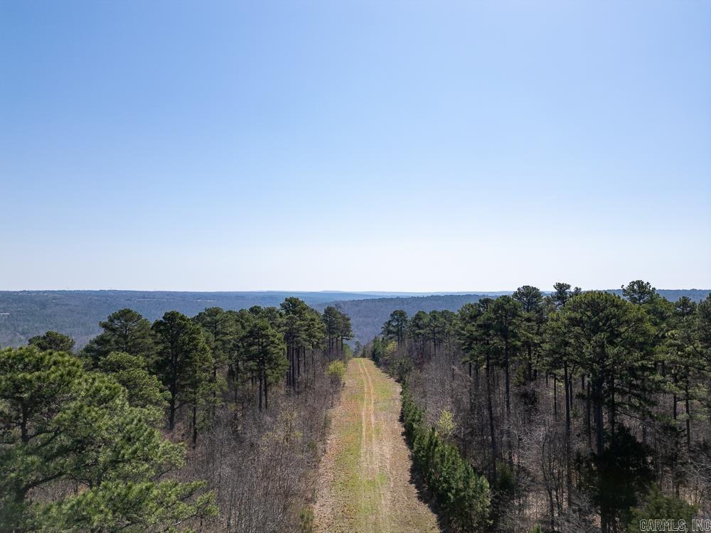 Photo 14 - Vacant Land for sale – 0000  Union Hill   Pleasant Plains, AR
