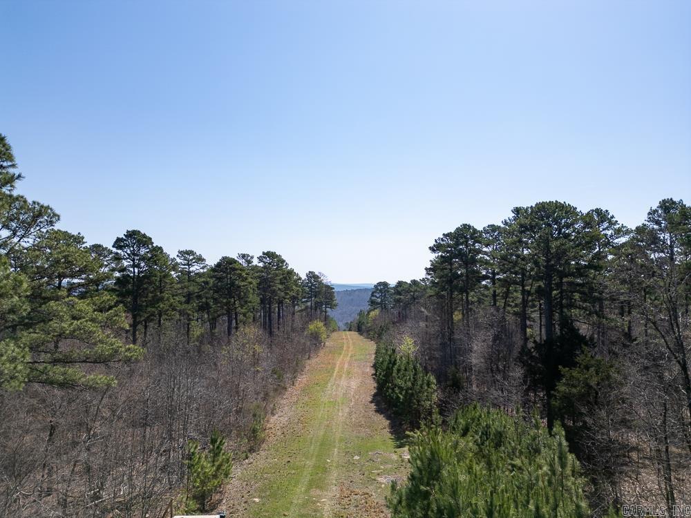 Photo 15 - Vacant Land for sale – 0000  Union Hill   Pleasant Plains, AR
