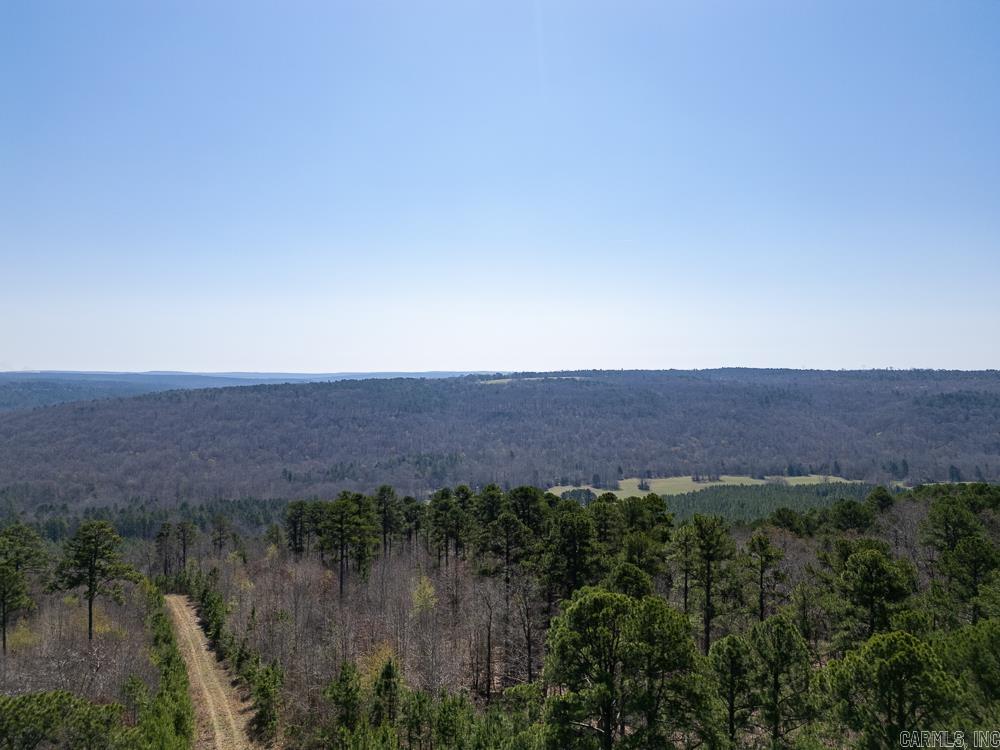 Photo 16 - Vacant Land for sale – 0000  Union Hill   Pleasant Plains, AR