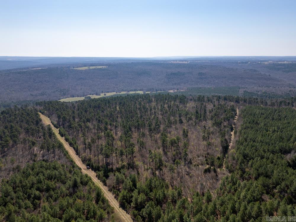 Photo 19 - Vacant Land for sale – 0000  Union Hill   Pleasant Plains, AR